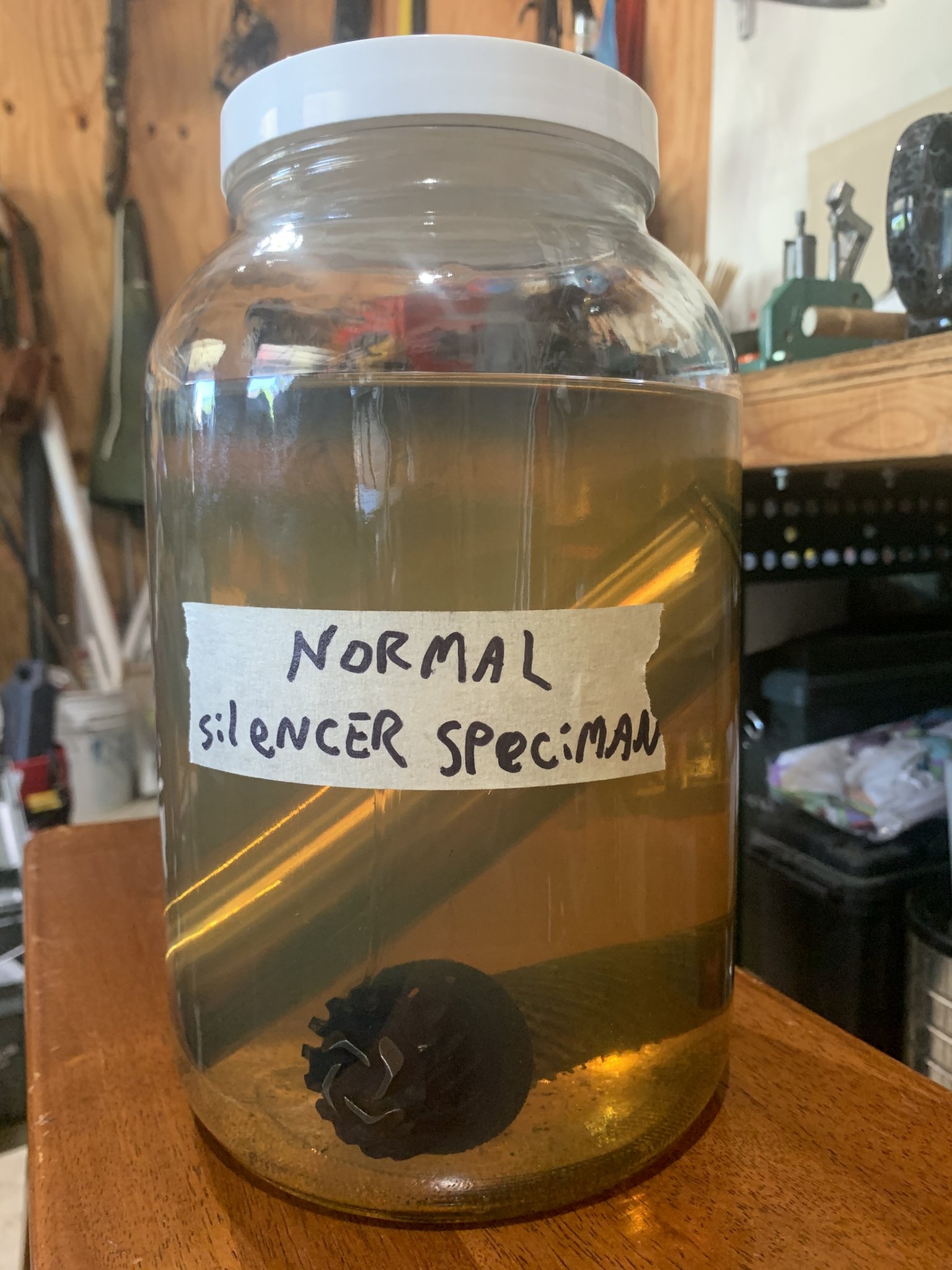 Normal Silencer Speciman.jpg
