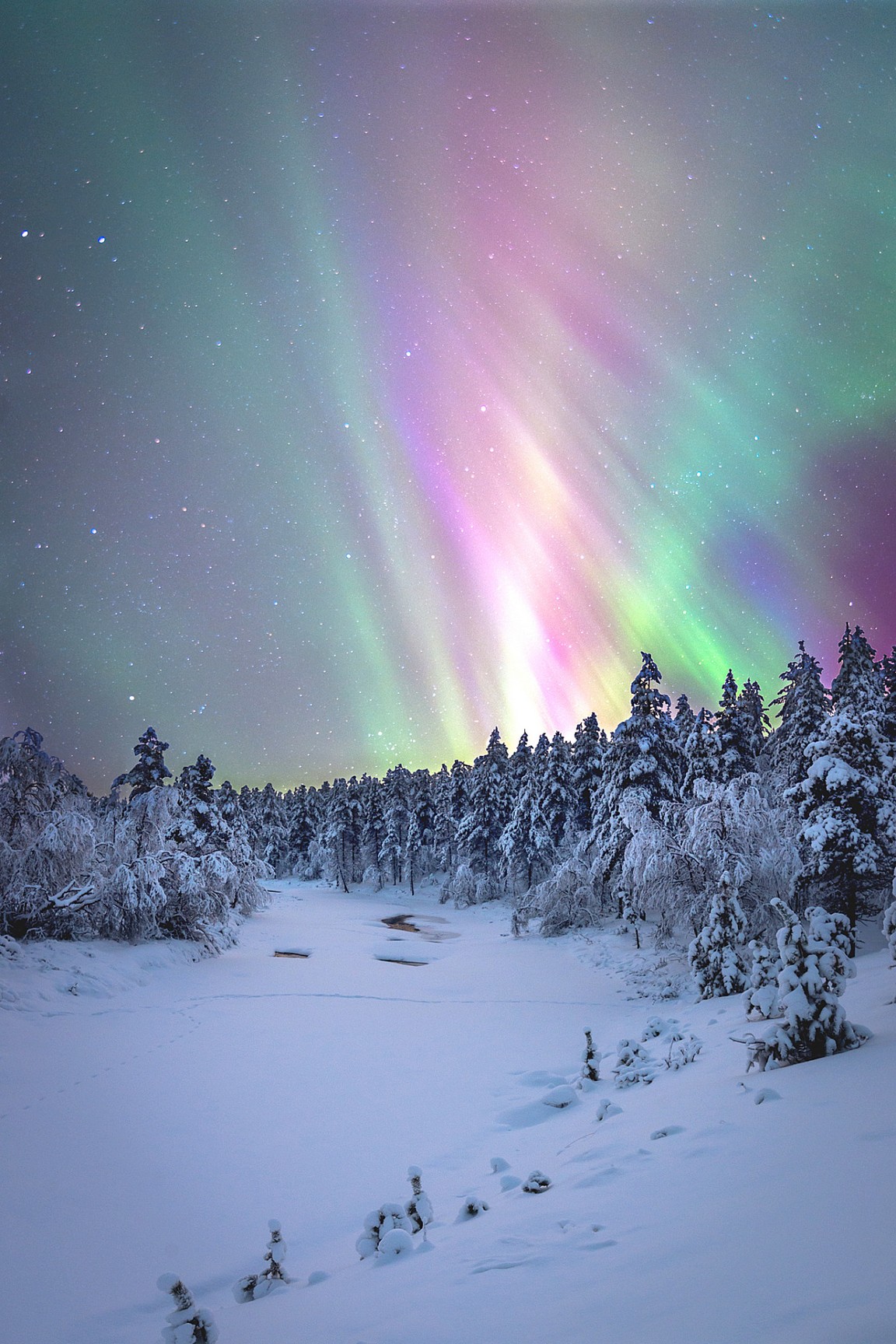 northern lighta.jpeg