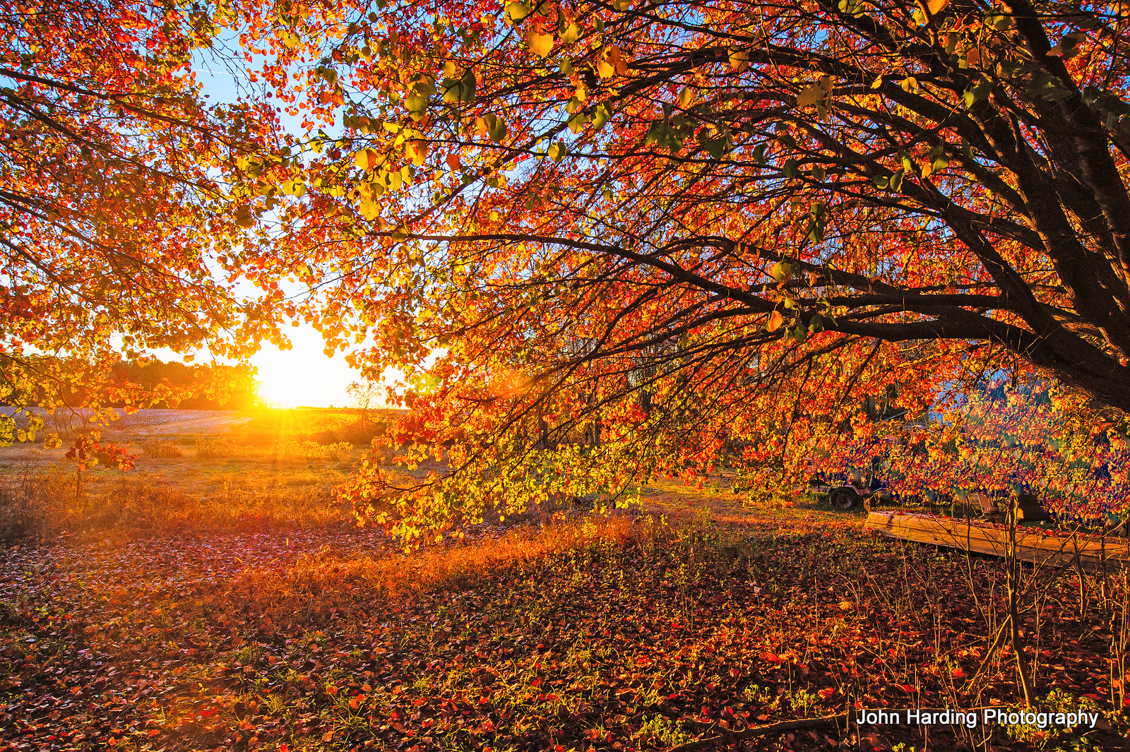 nov13-0132-edited.jpg