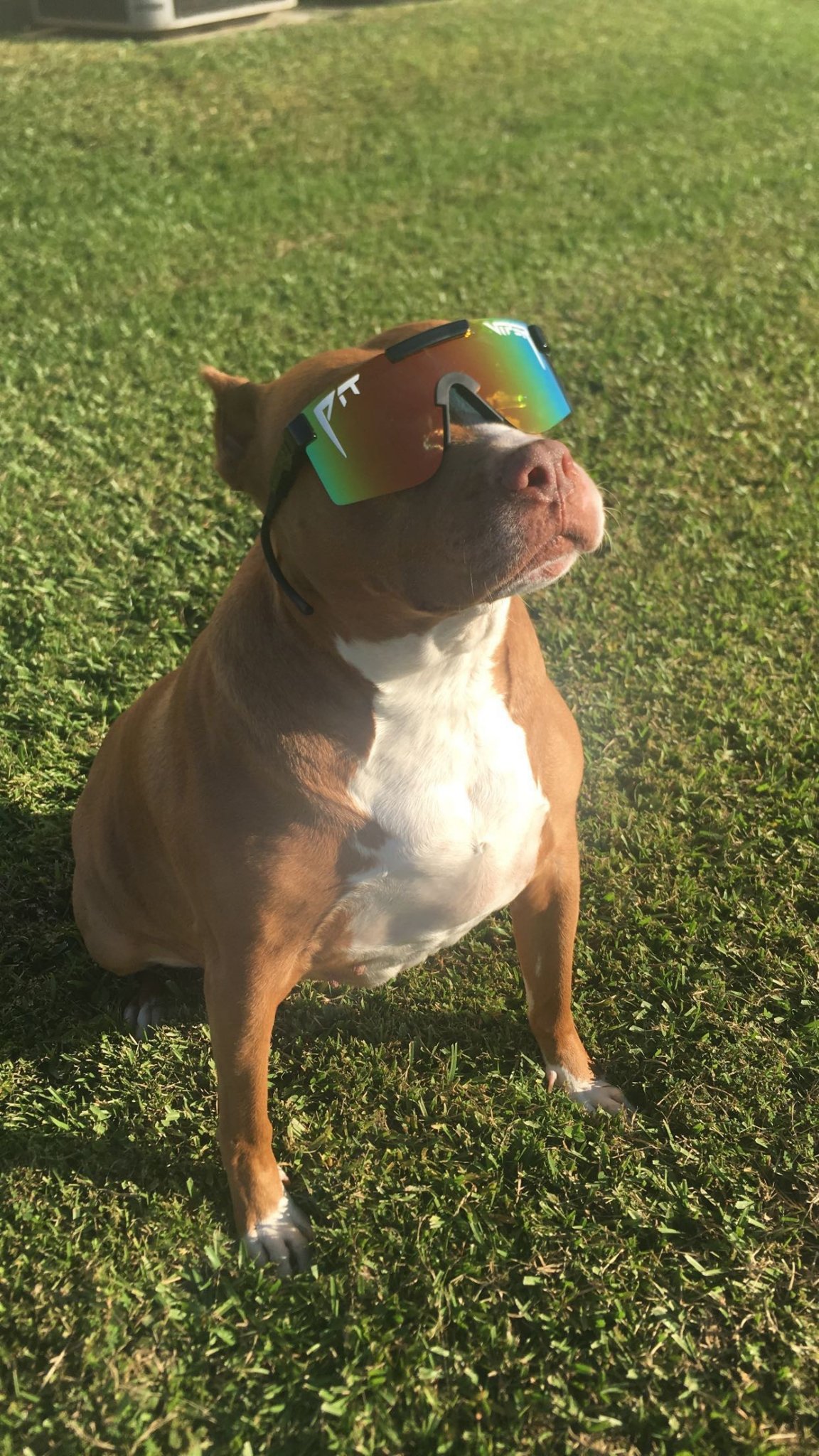 Nova 3.JPG