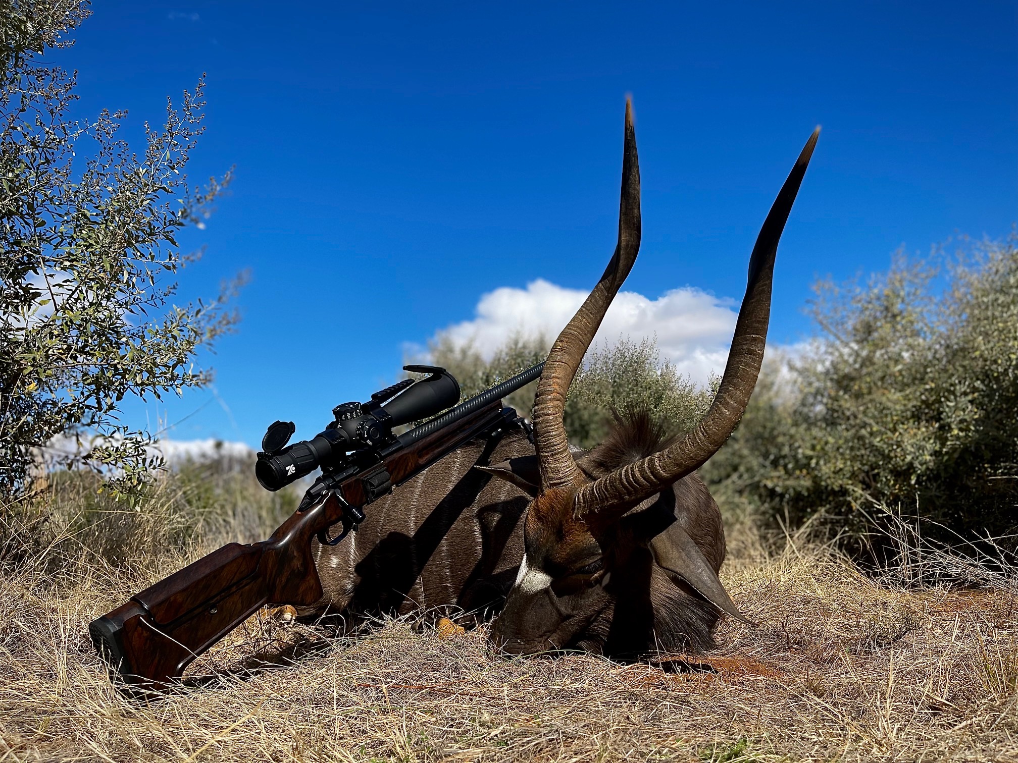 NYALA.jpg