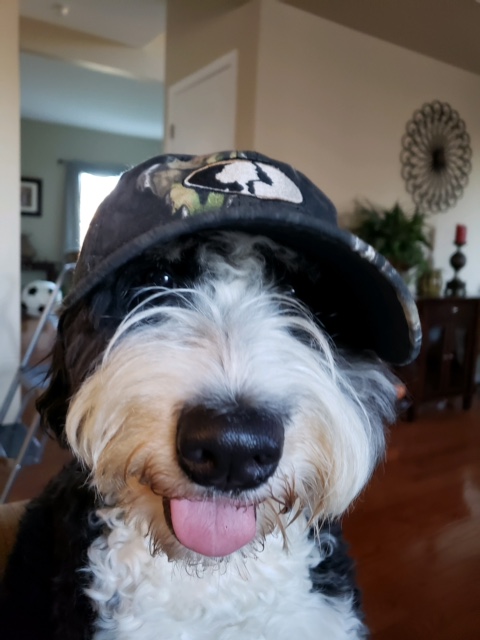Oakley 6.jpg
