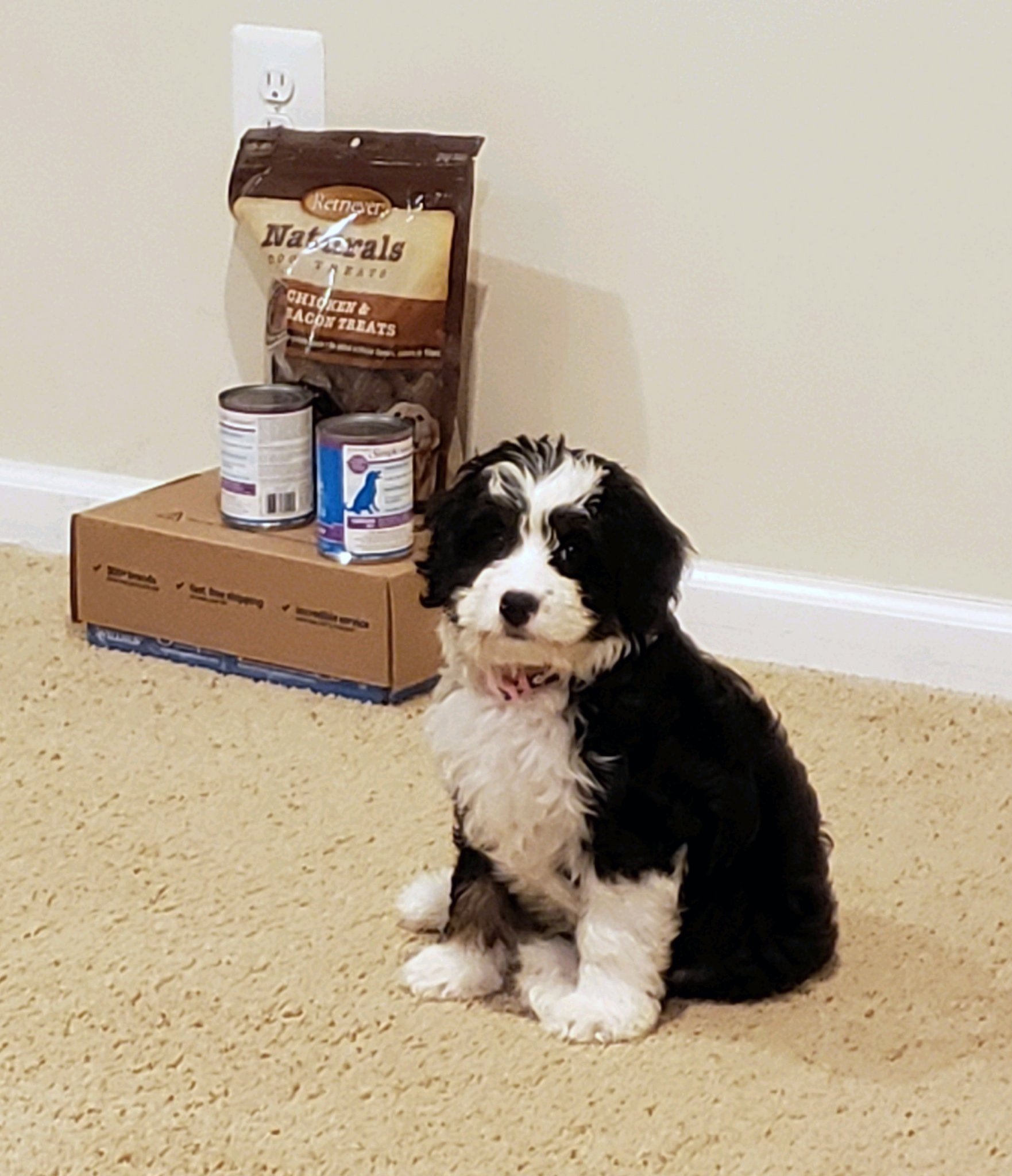 Oakley.jpg