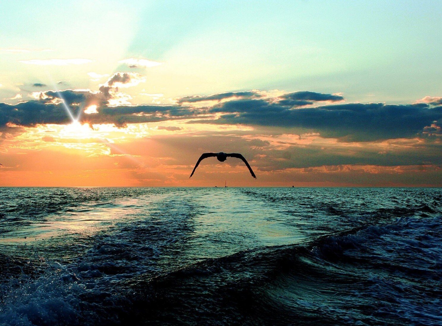 ocean.jpeg