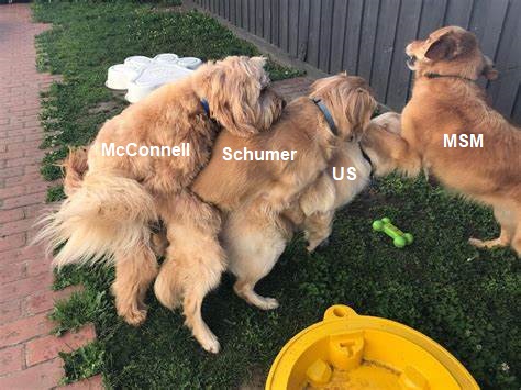 OIP.jpg