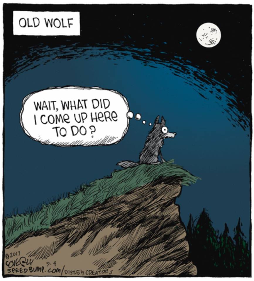 old wolf.jpg