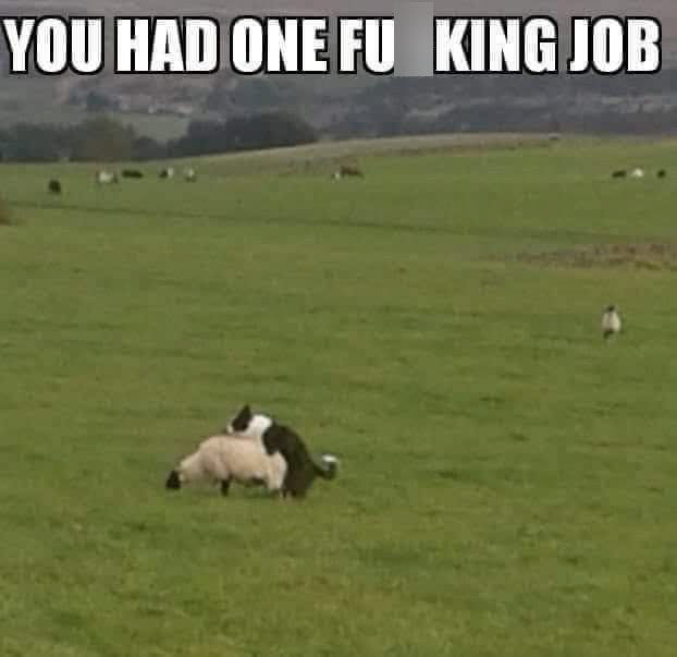one-job.jpg