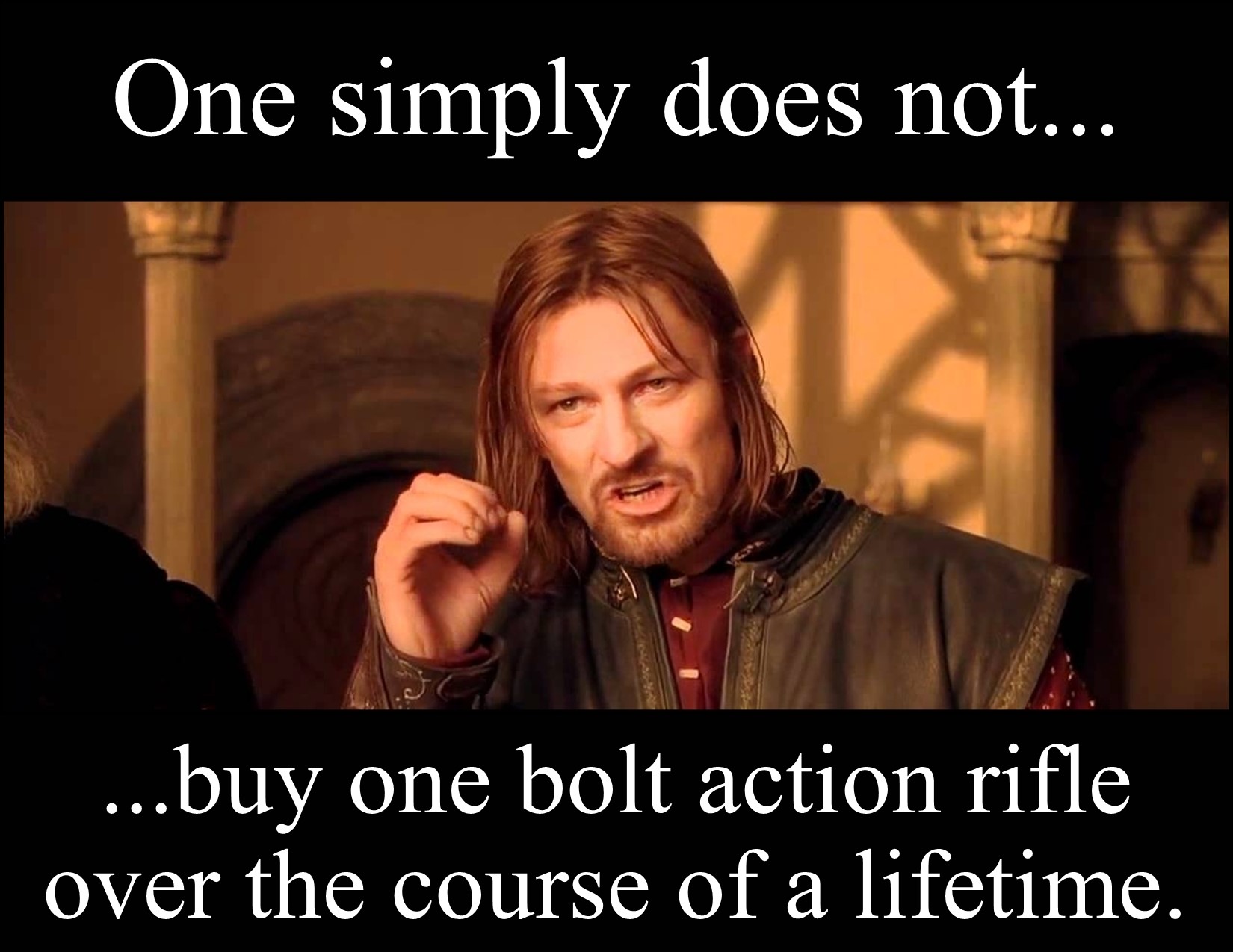 One Simply Does Not Buy One Bolt Action Rifle.jpg