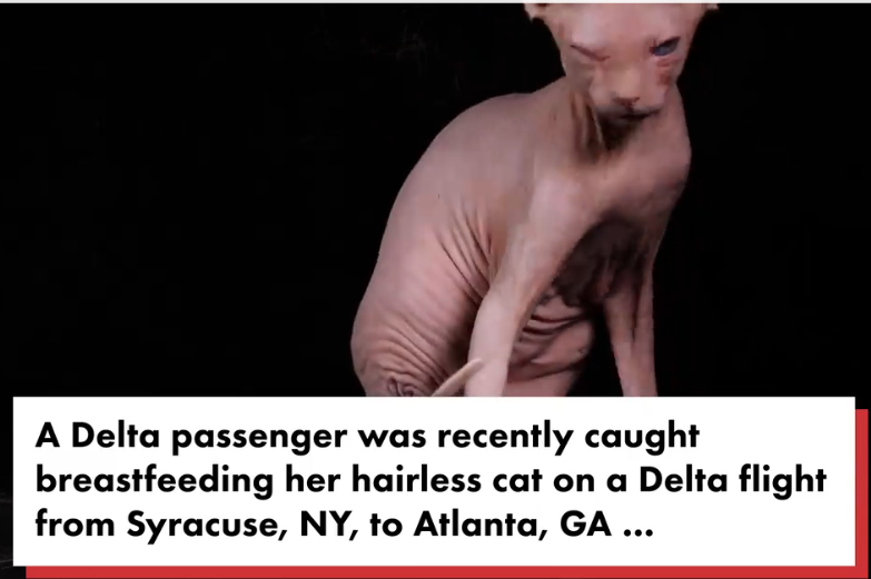 Opera Snapshot_2021-12-04_011919_nypost.com.png