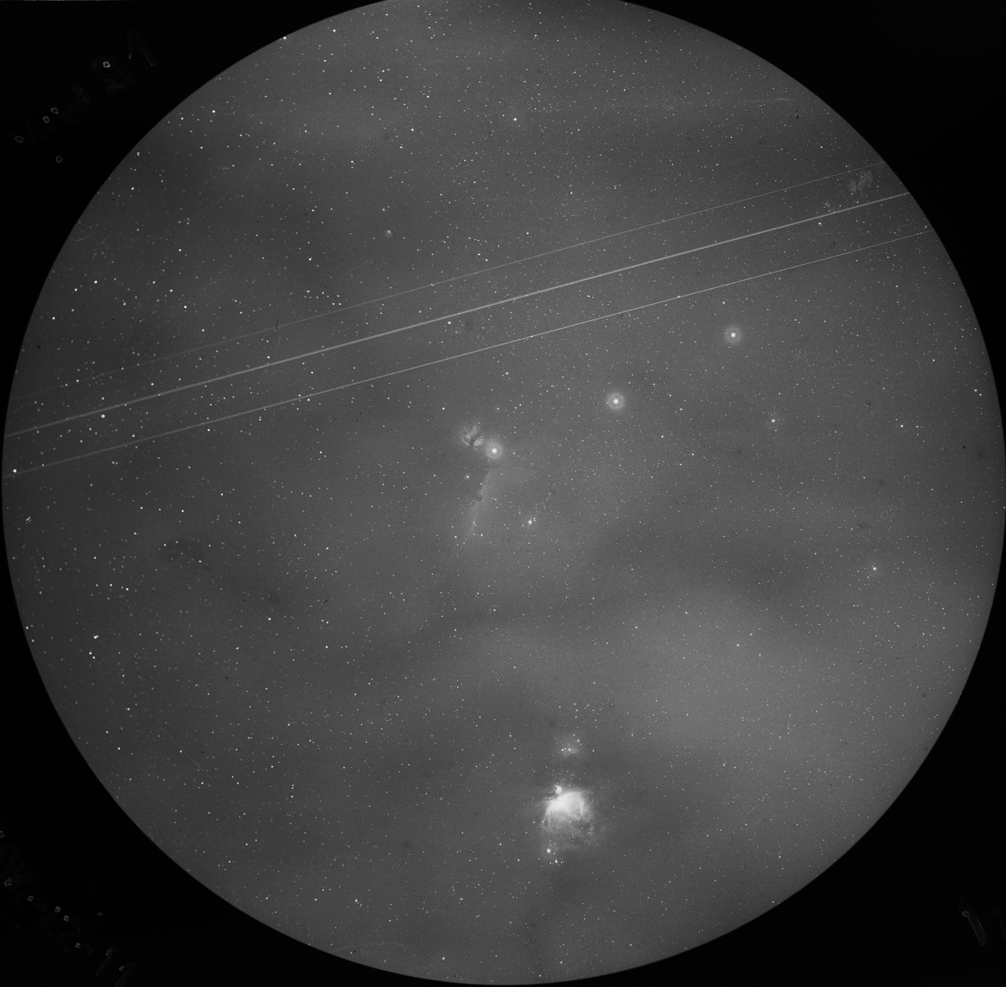 Orion-Vehrenburg.jpg