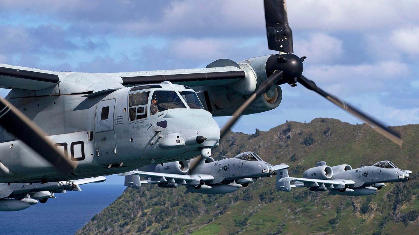 osprey-a-10.jpeg
