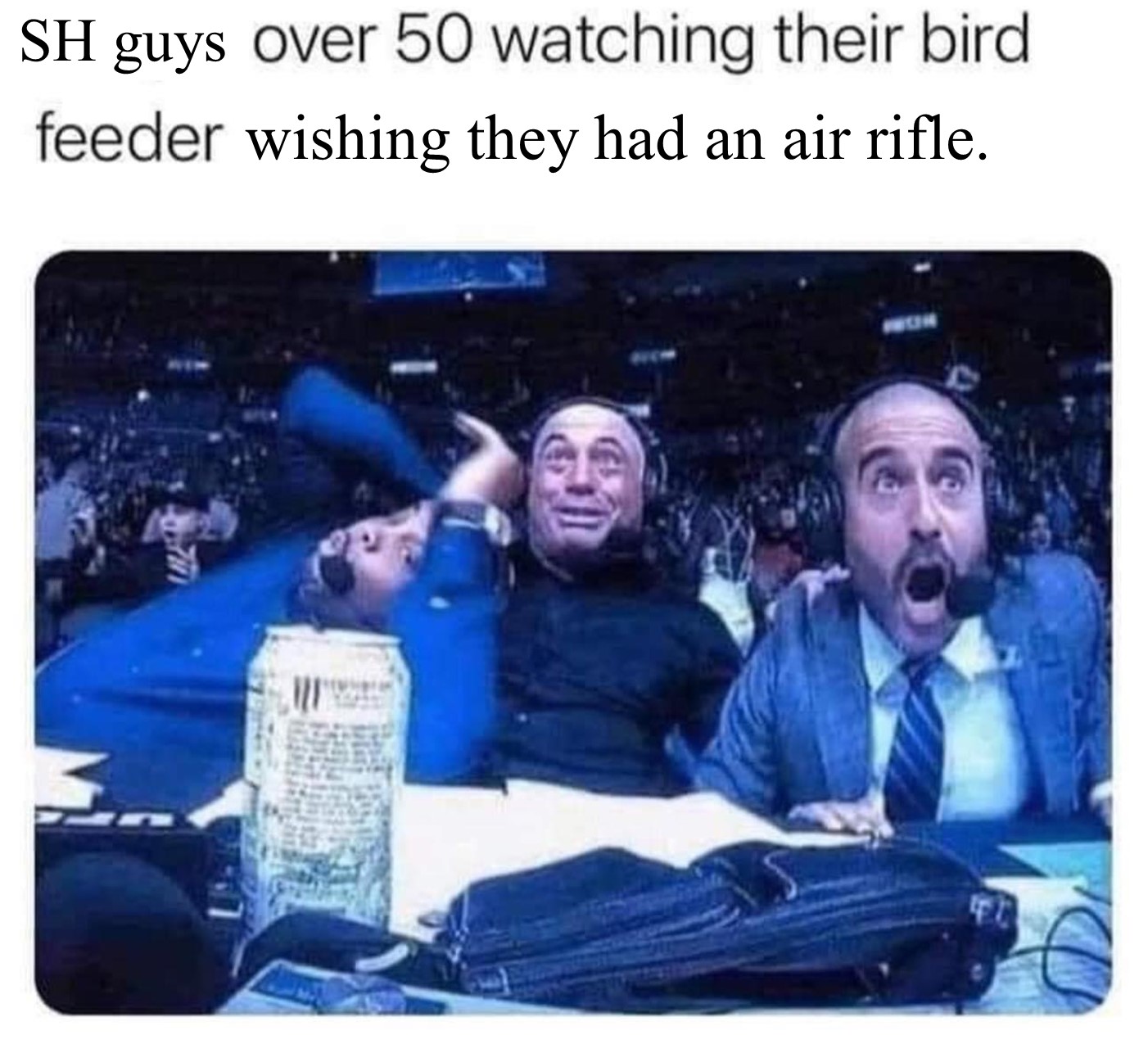 Over 50 Bird Feeder.jpg