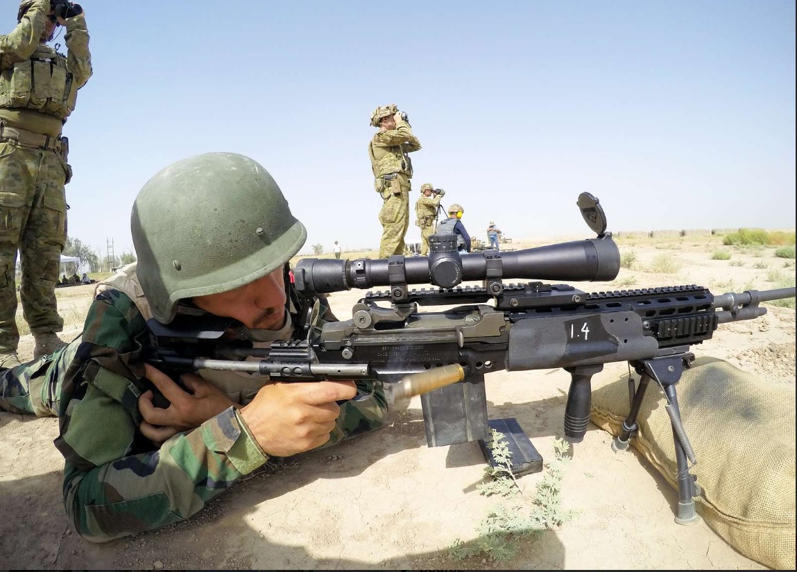 ozm14.jpg