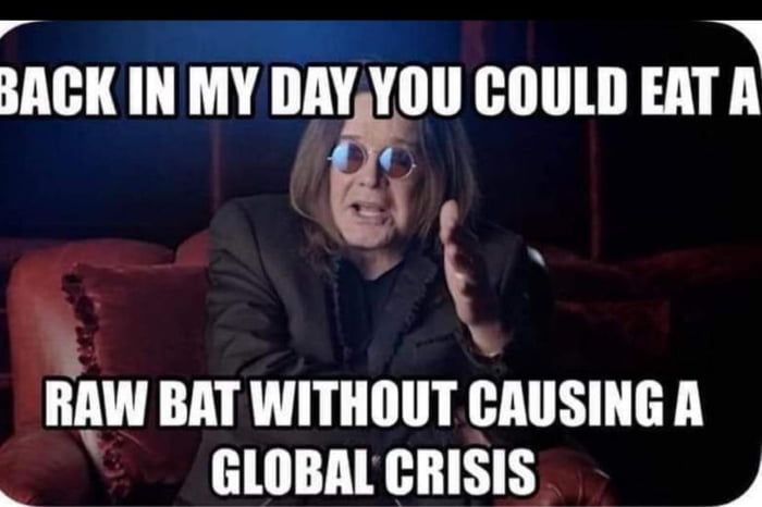 ozzy bat ii.jpg
