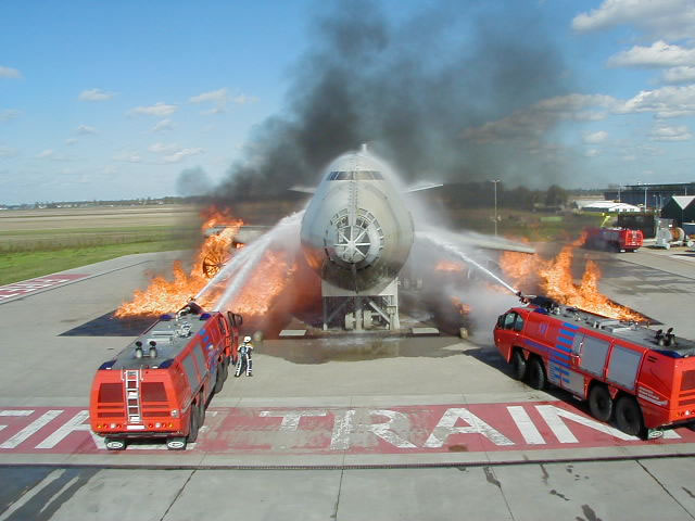 P-6 fighting.jpg