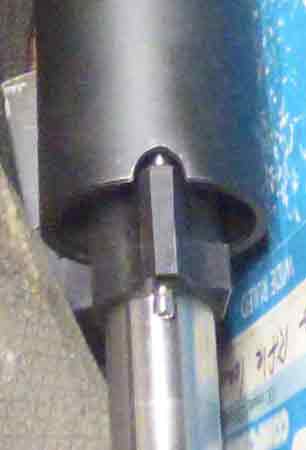 P1000153.jpg