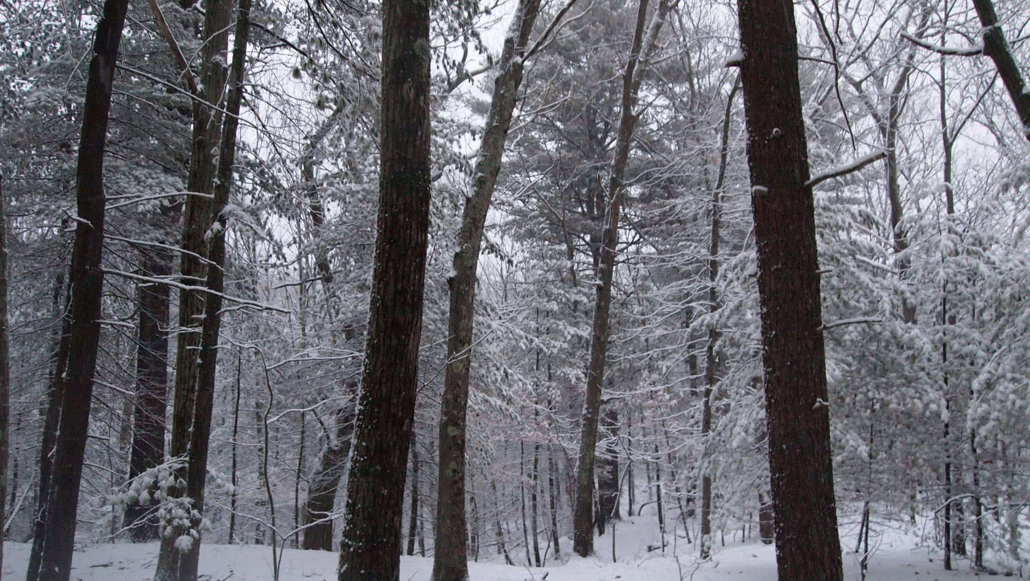 P1010323[1].JPG