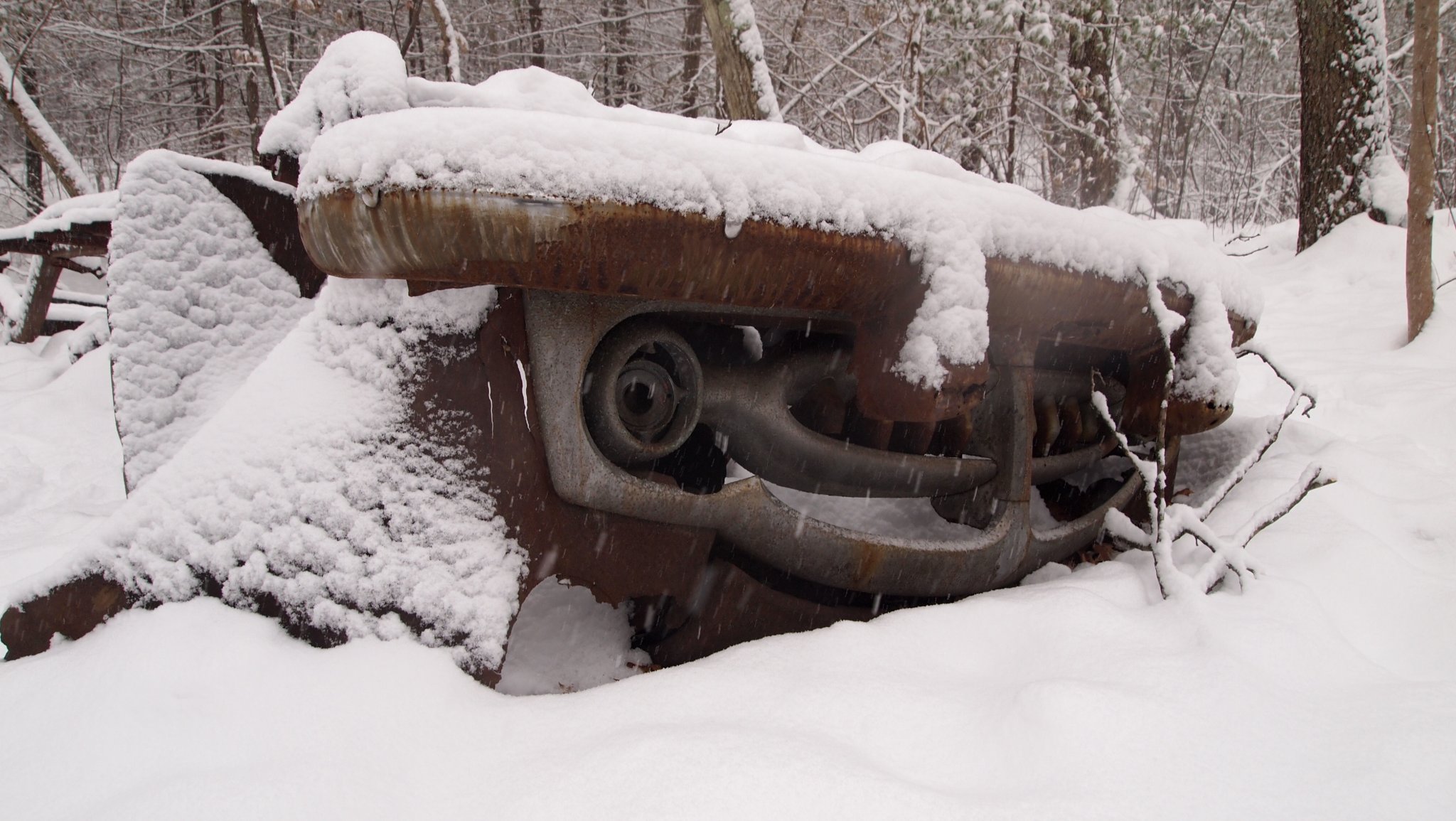 P1010372[1].jpg
