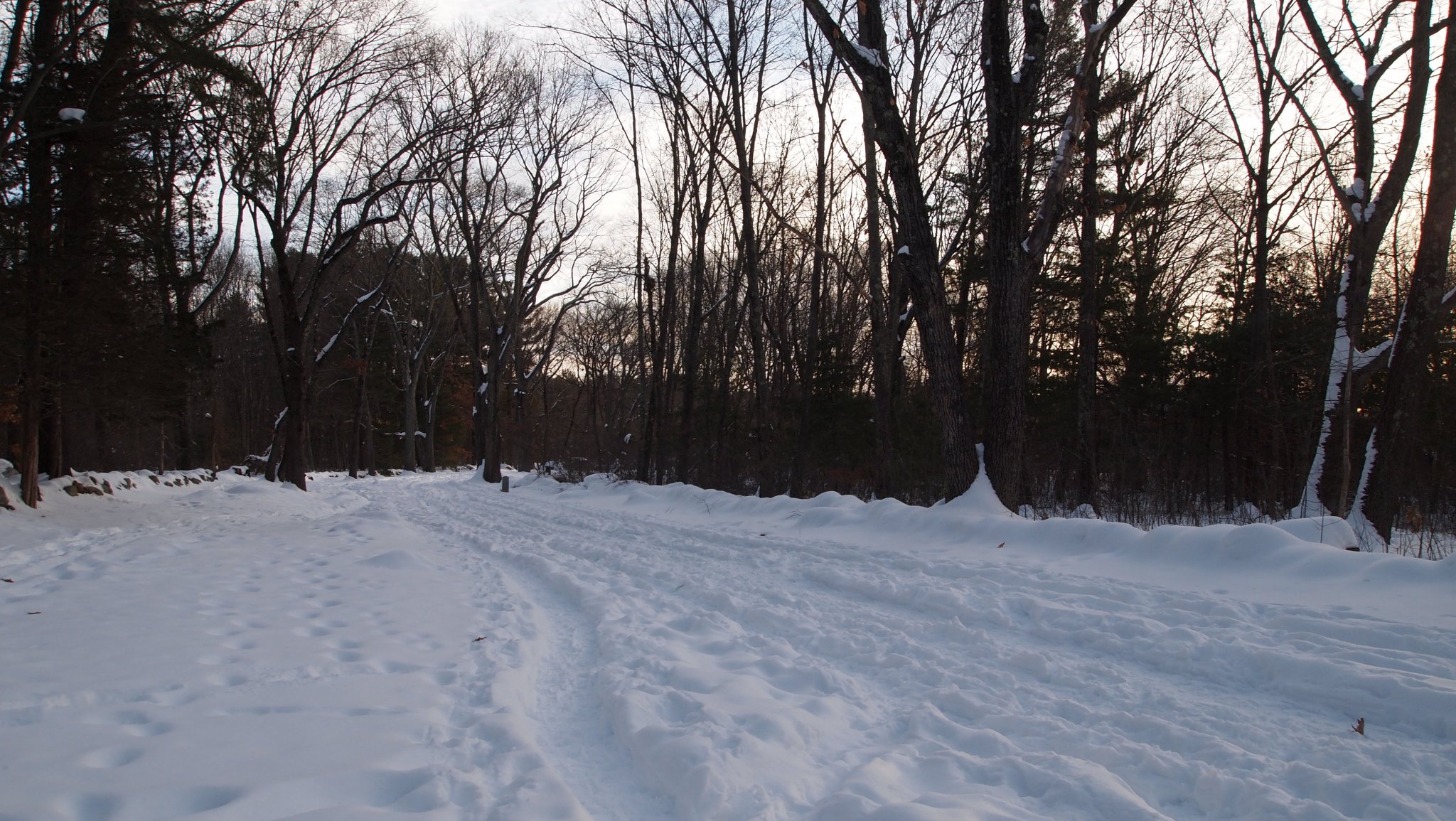 P1010393.JPG