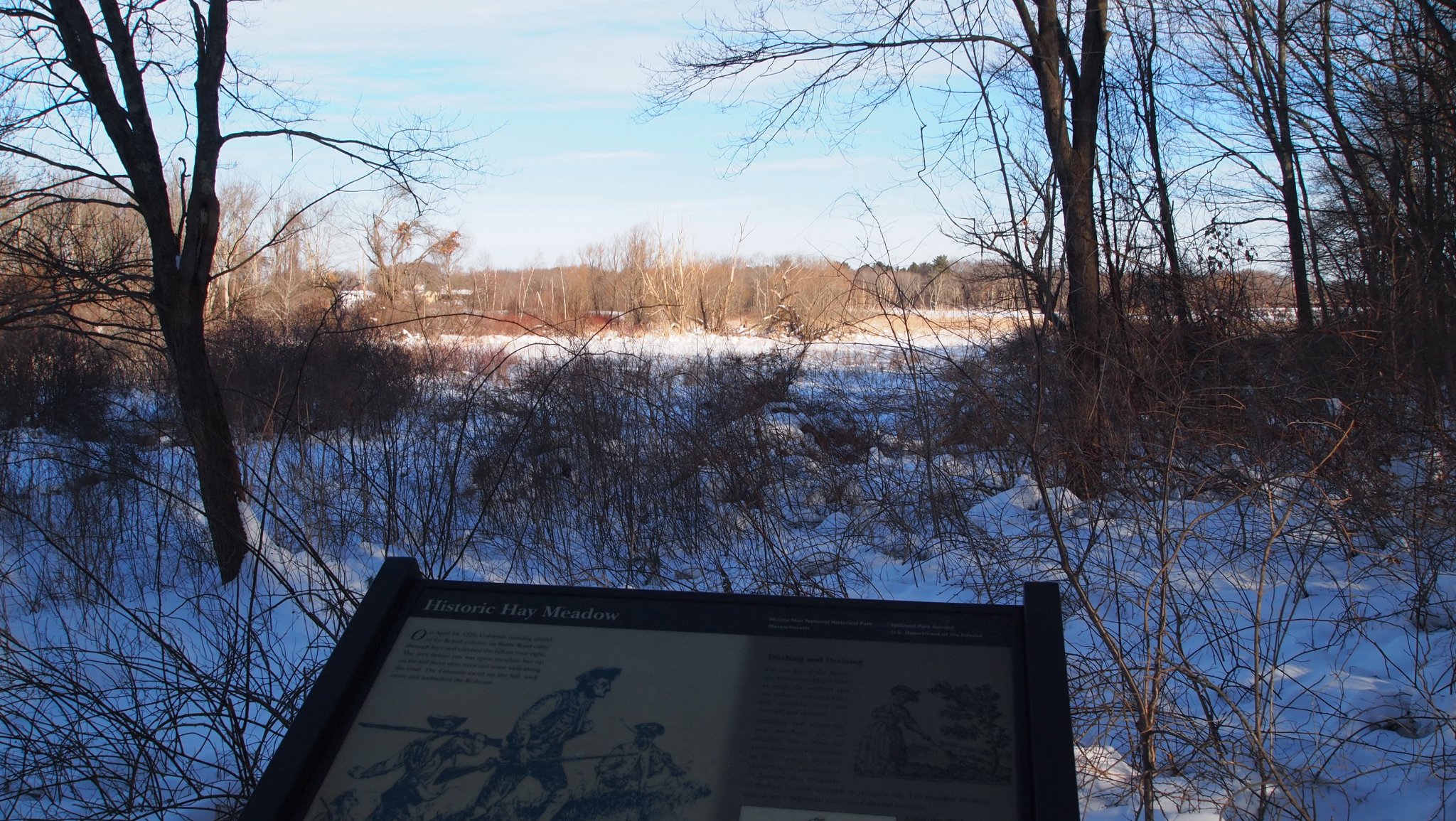 P1010408.JPG