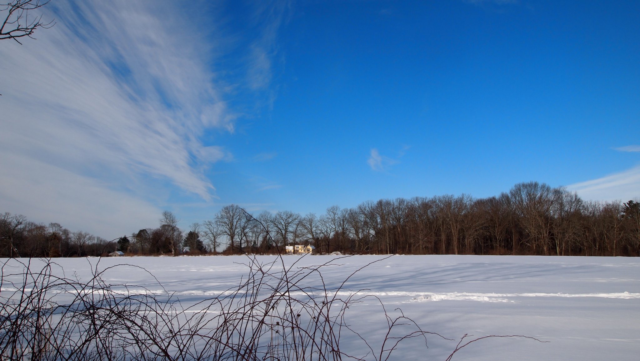 P1010414.JPG