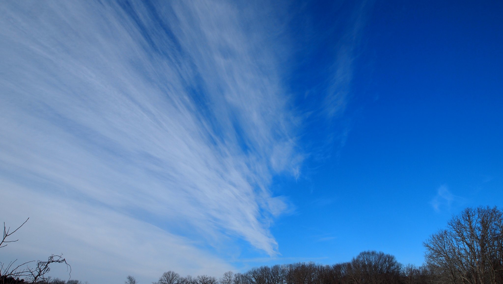 P1010416.JPG