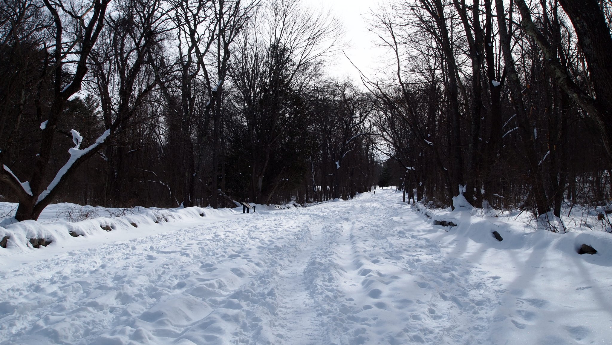 P1010430.JPG