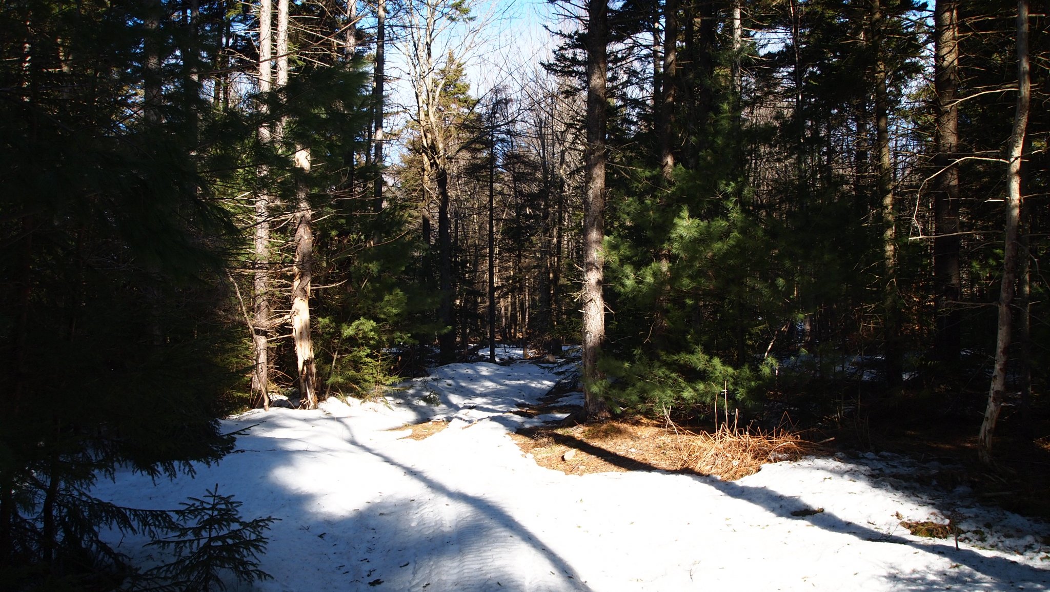 P1019233.JPG