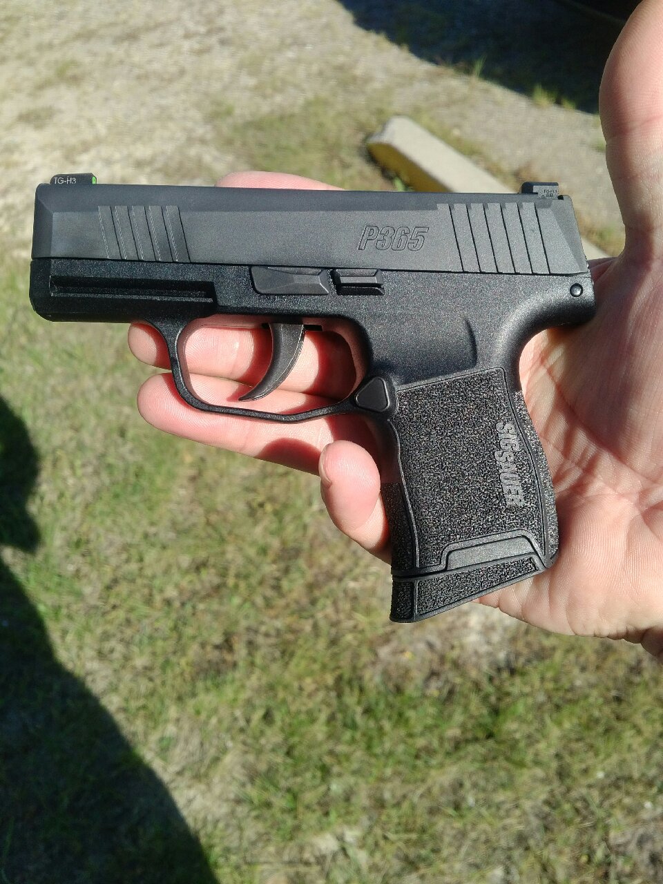 P365.jpg