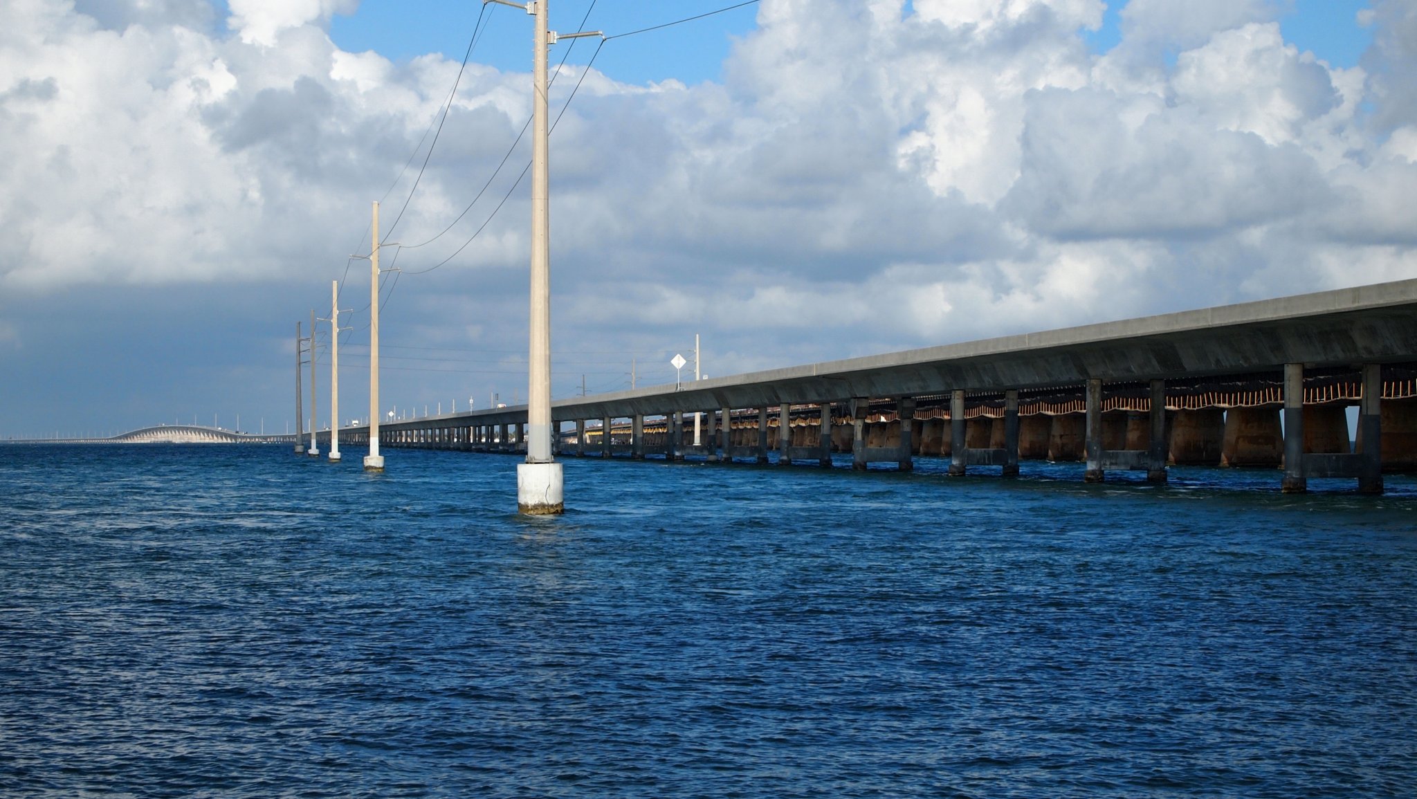 P4118523[1].jpg