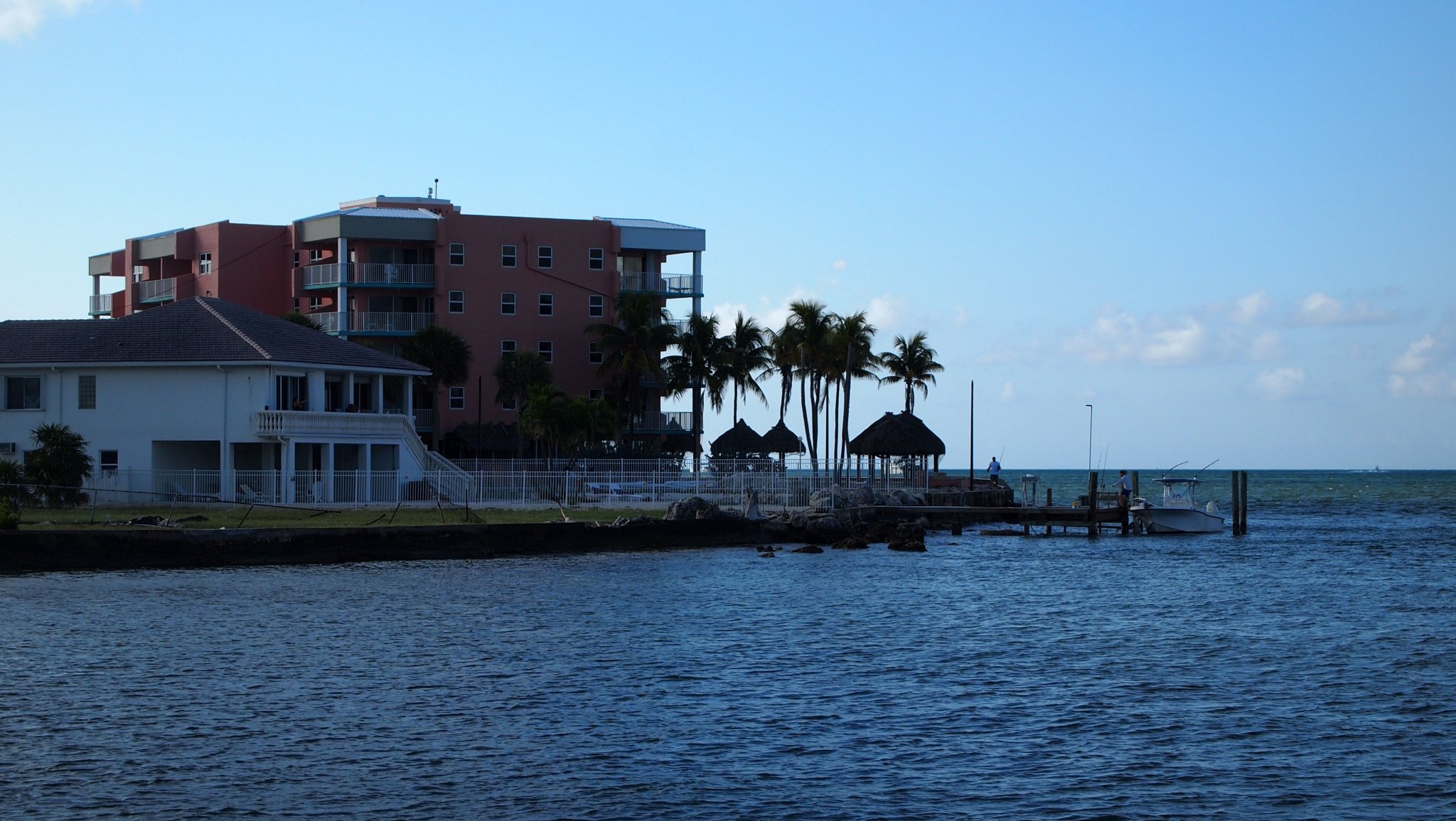 P4118524[1].jpg