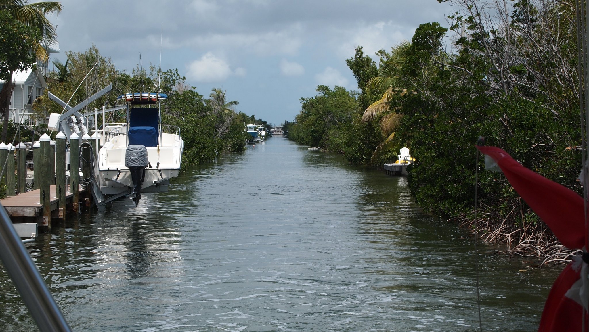 P4128525[1].jpg