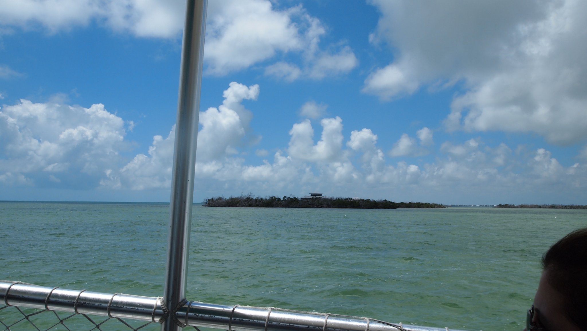 P4128526[1].jpg