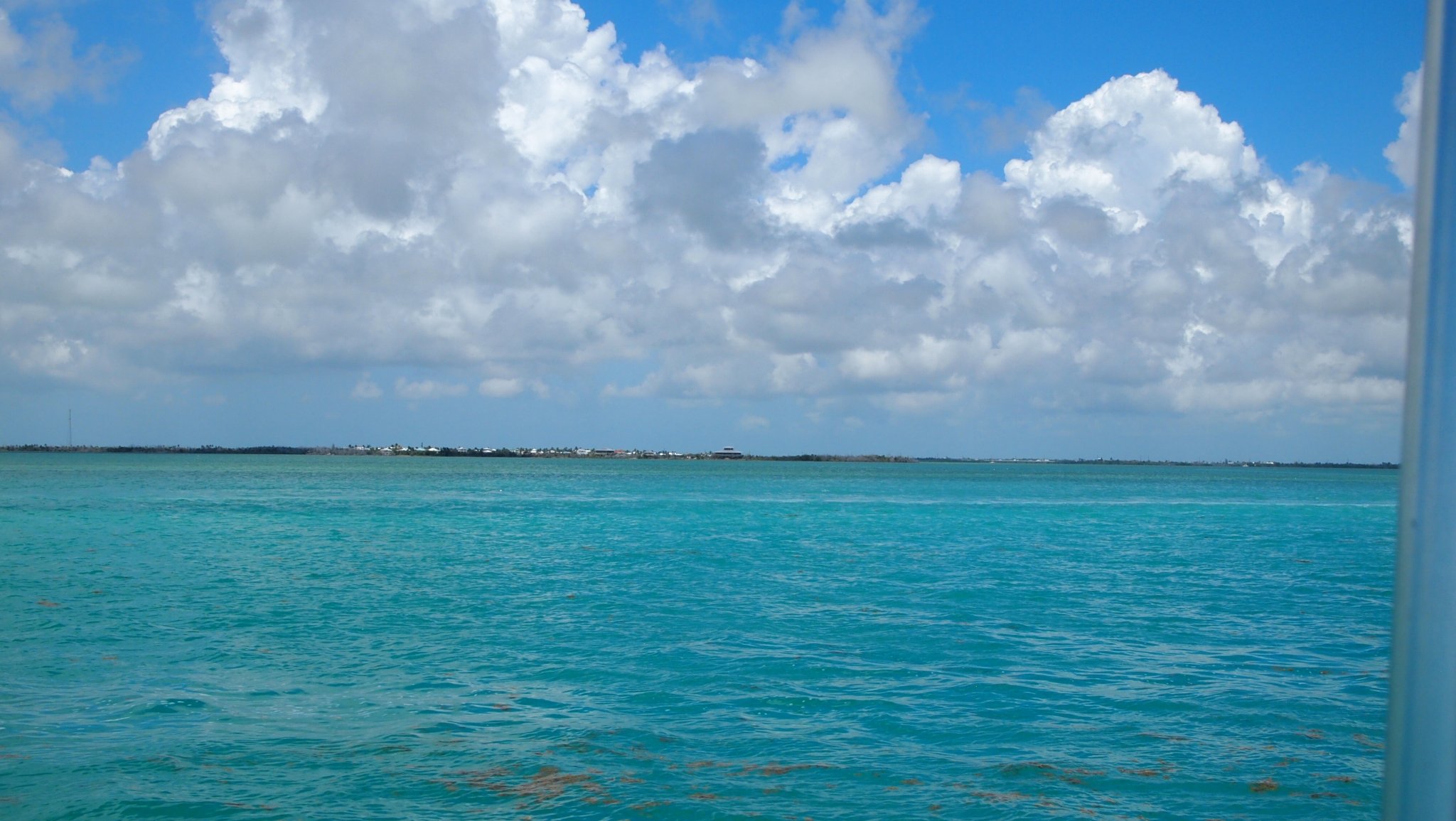 P4128527[1].jpg