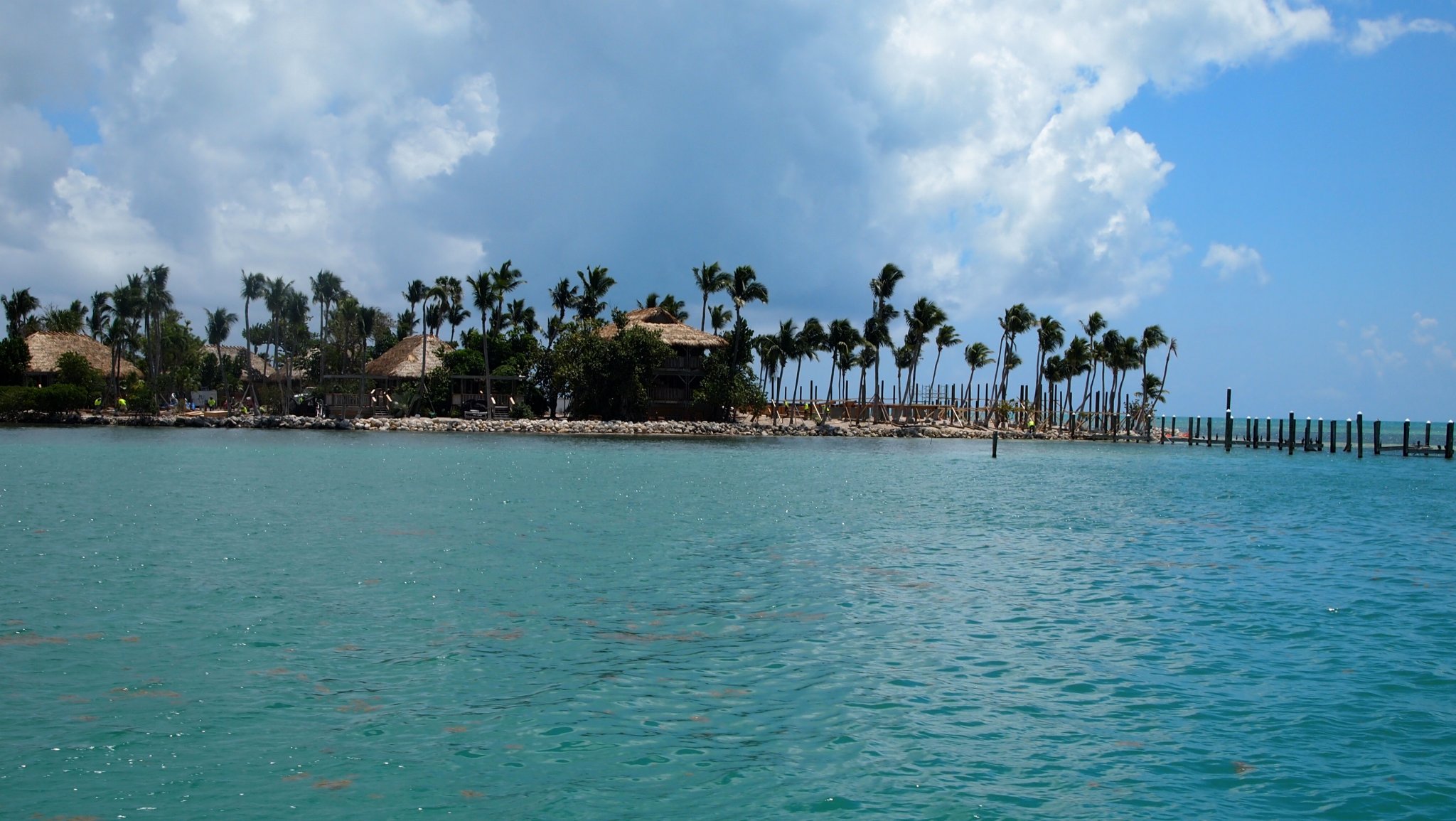 P4128528[1].jpg