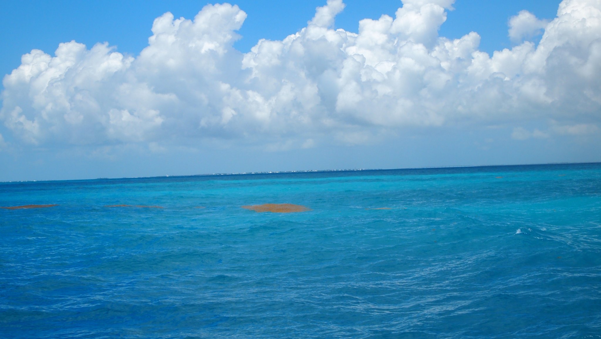 P4128529[1].jpg