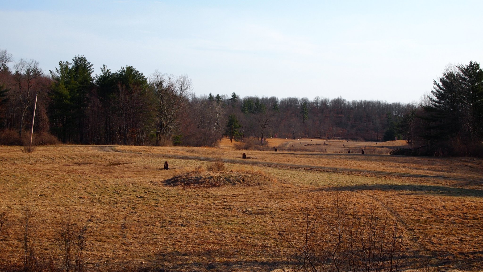 P4137882 (1).JPG