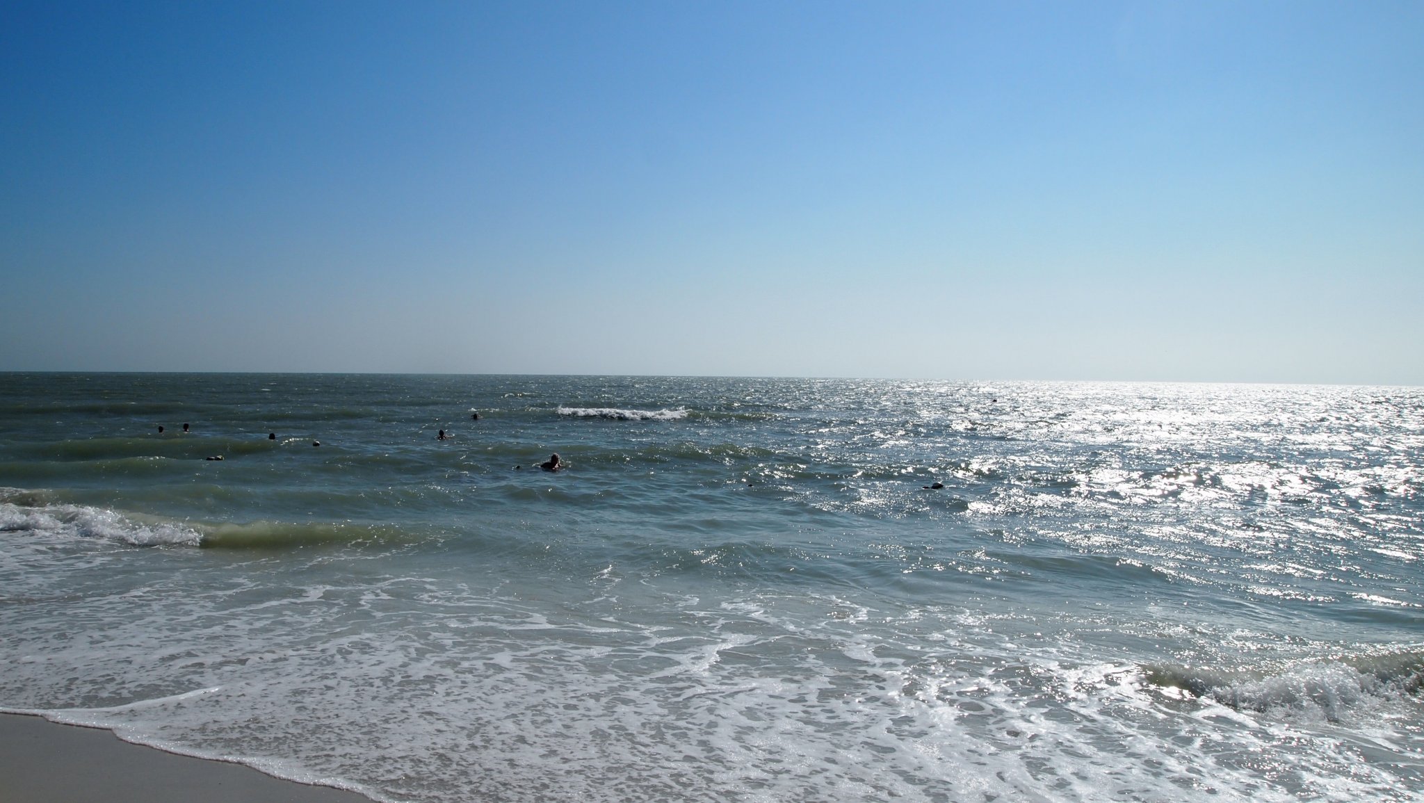 P4148544[1].jpg