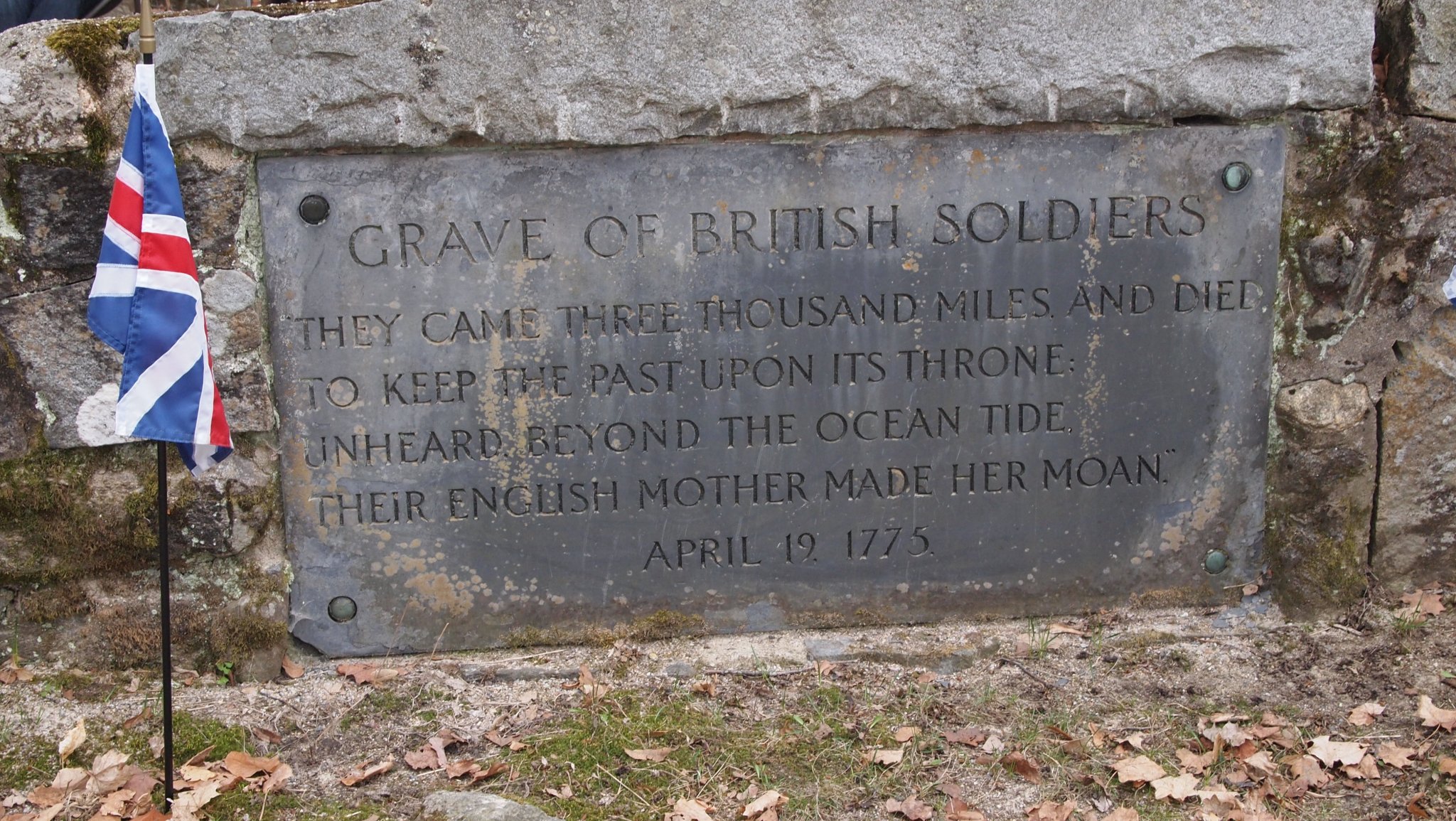 P4196230.JPG