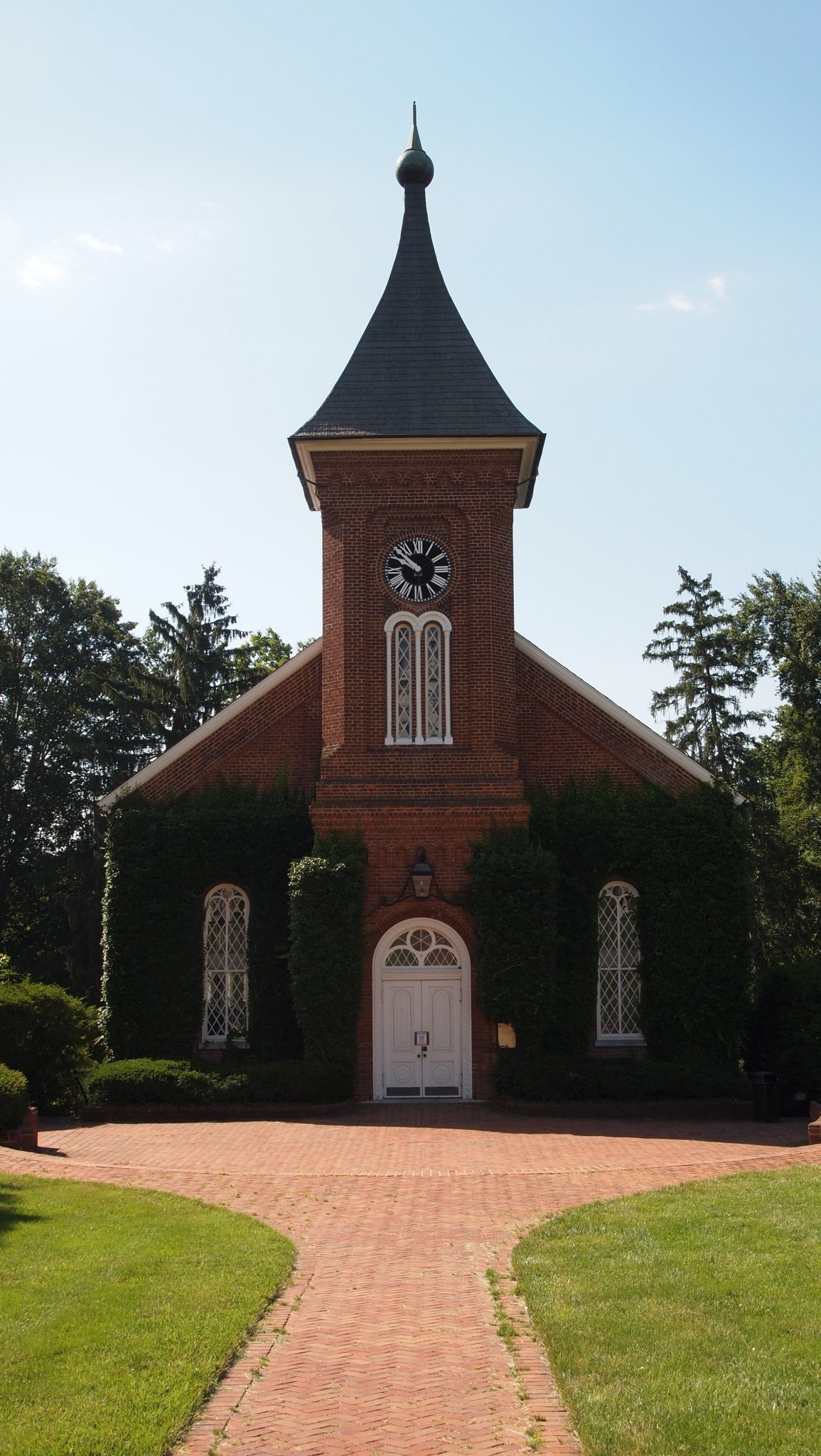 P6289446[1].jpg