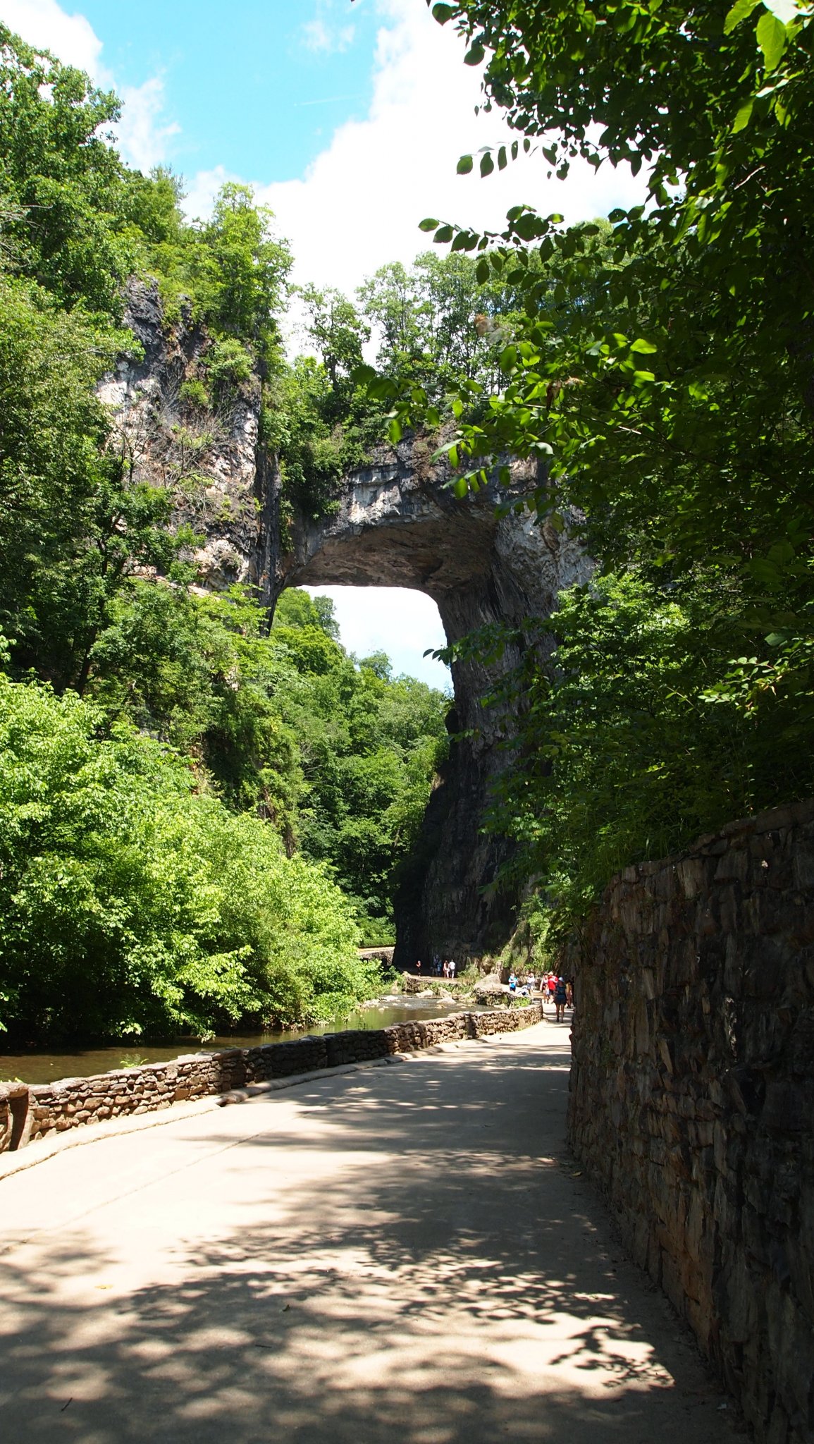 P6289448[1].jpg