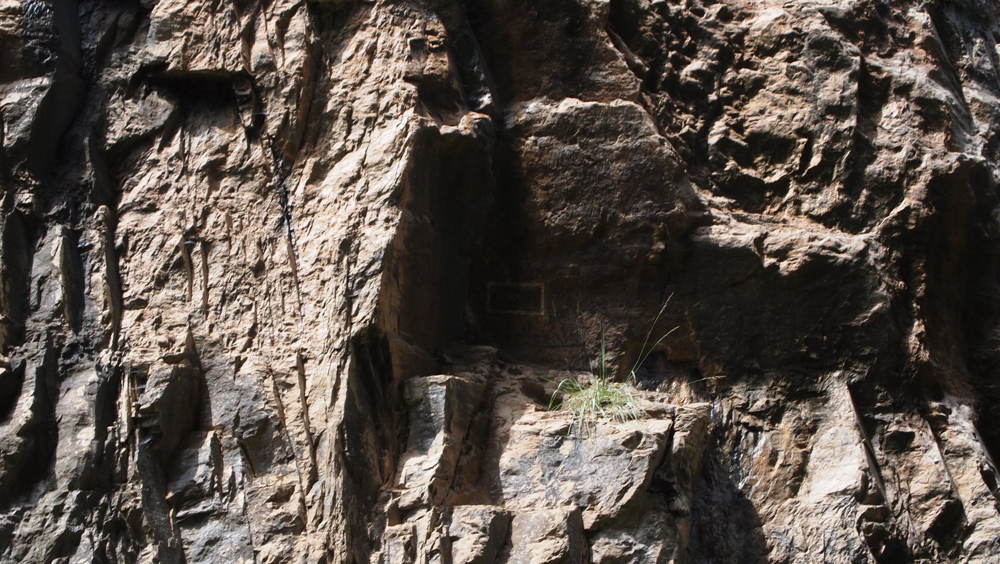 P6289451[1].JPG