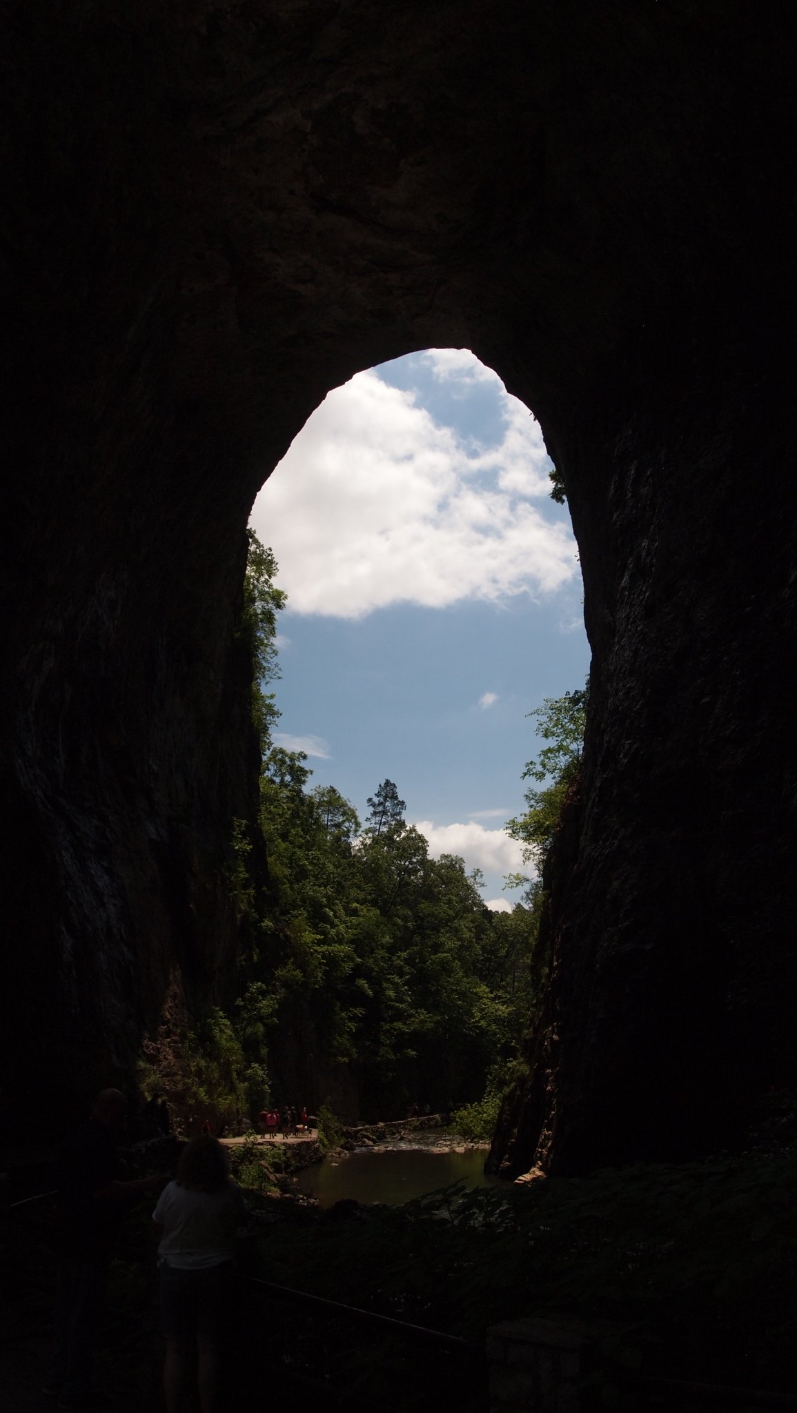 P6289452[1].jpg