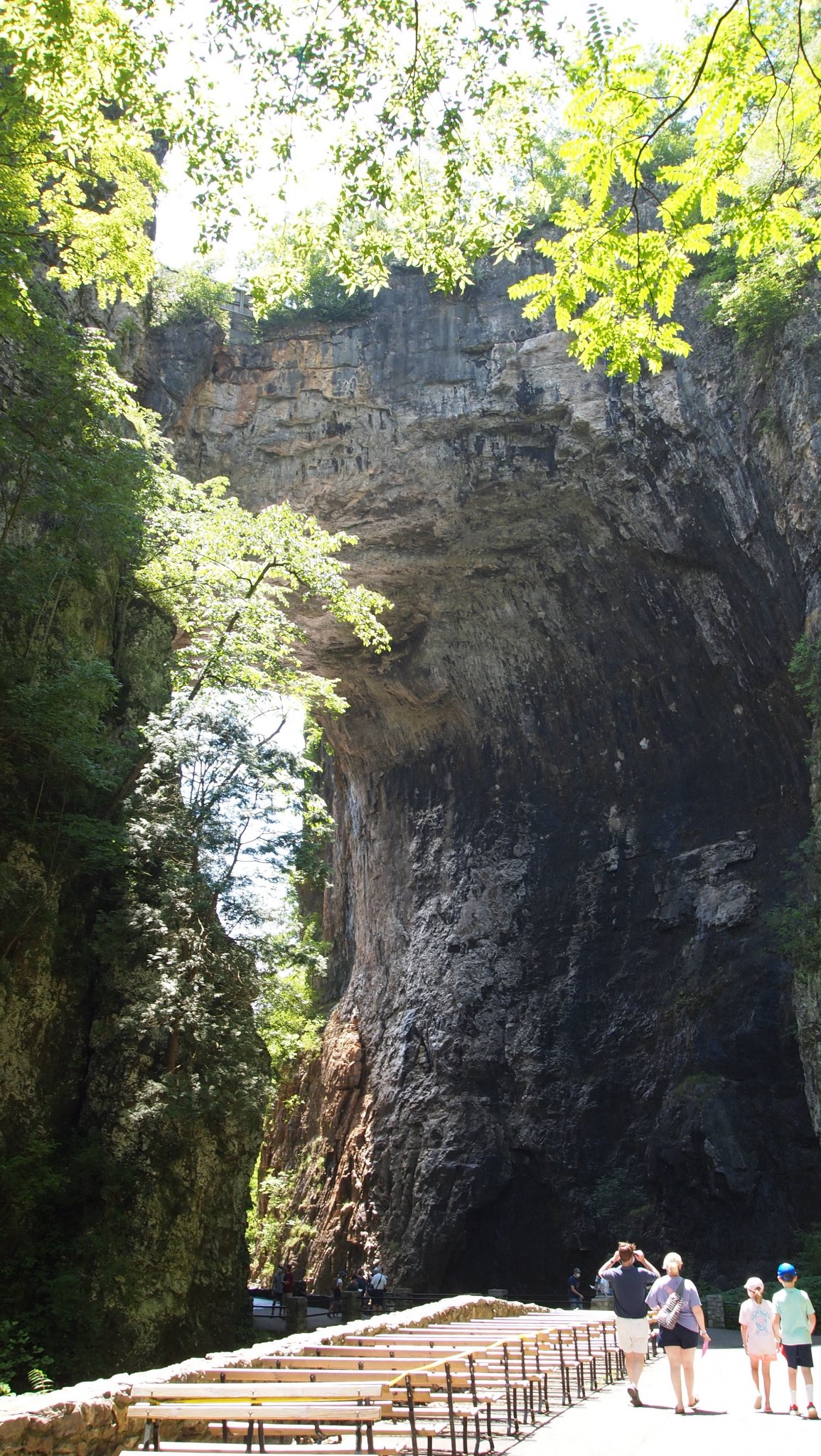 P6289453[1].jpg