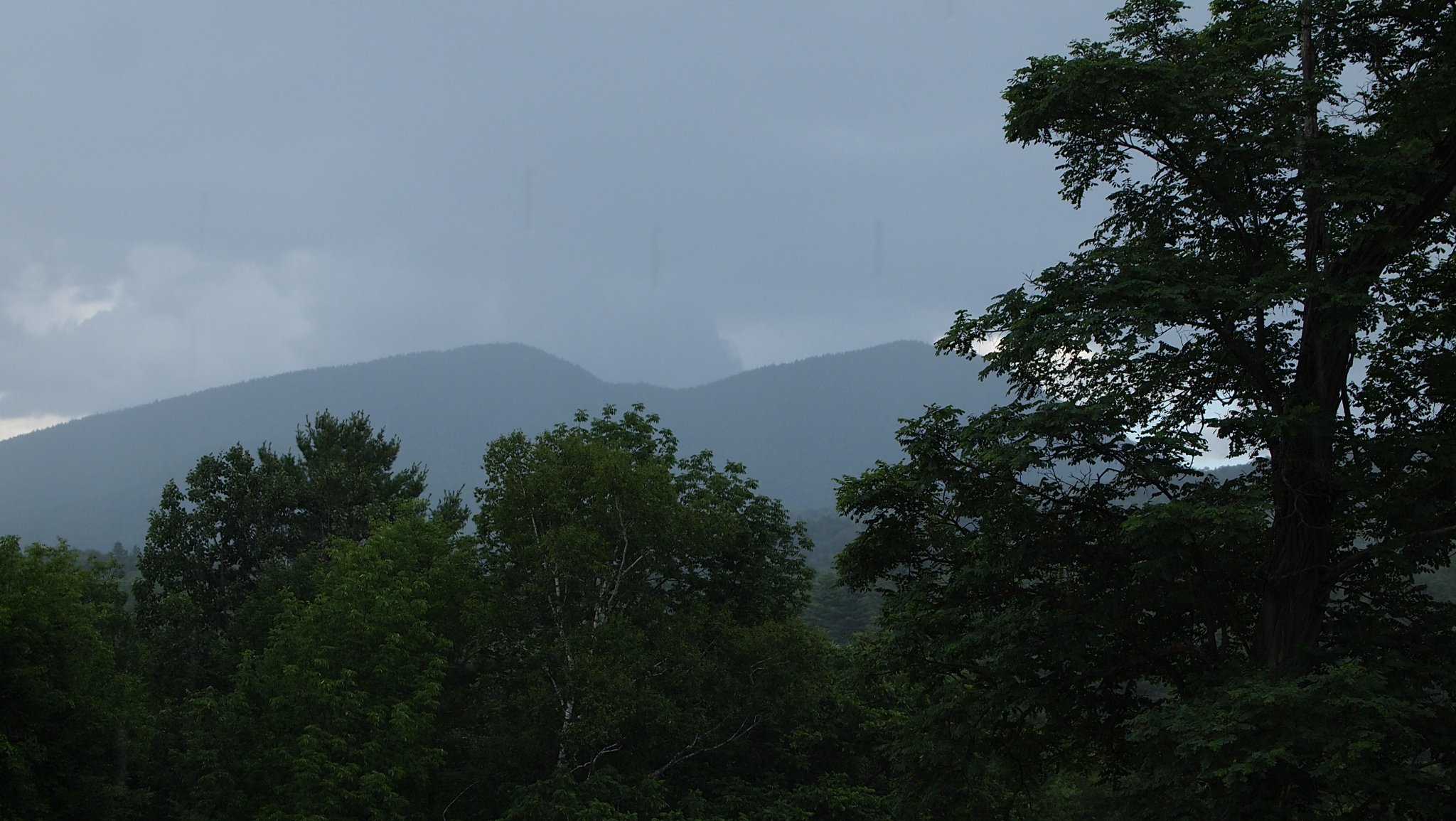 P7319475[1].JPG