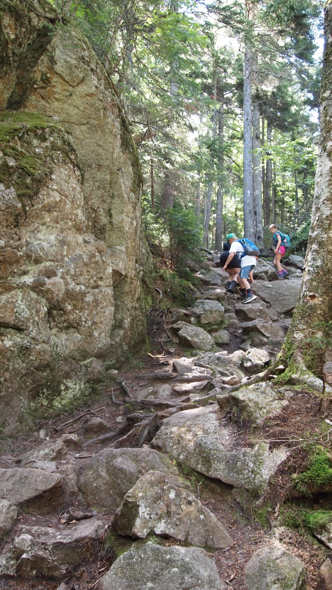 P8019498[1].jpg