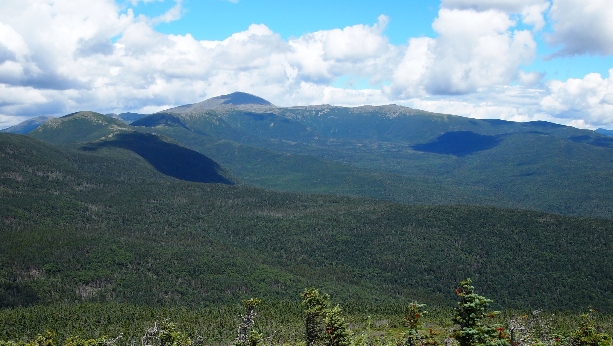 P8019507[1].JPG