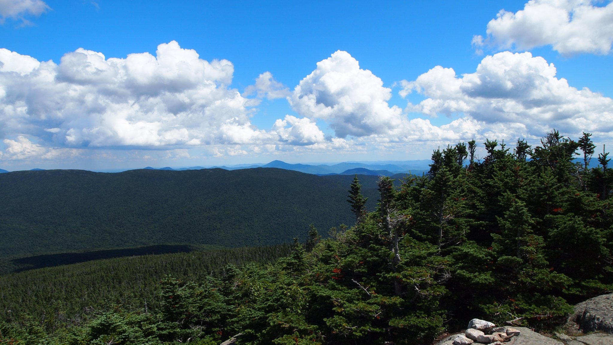 P8019508[1].JPG