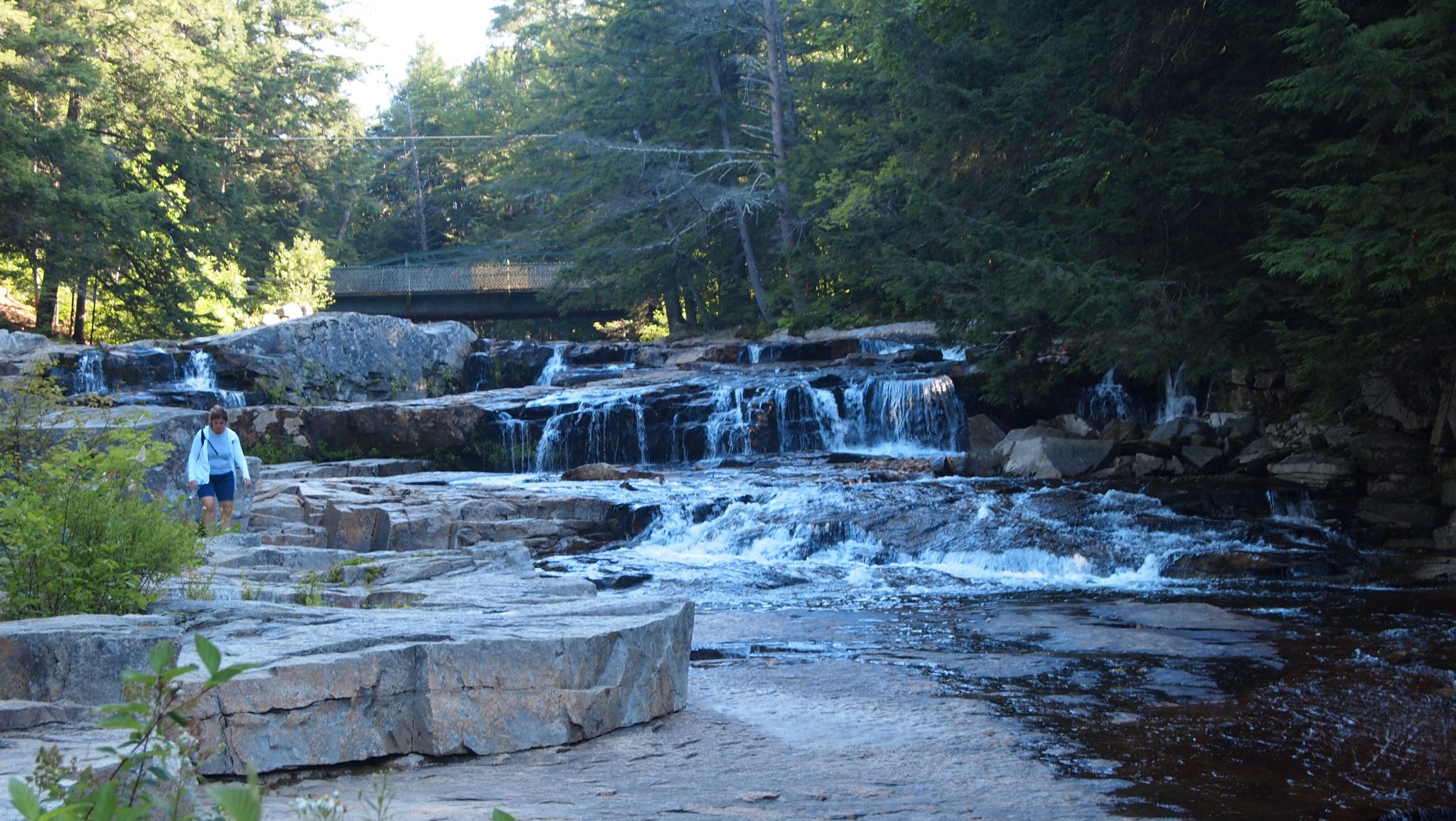 P8029524[1].JPG