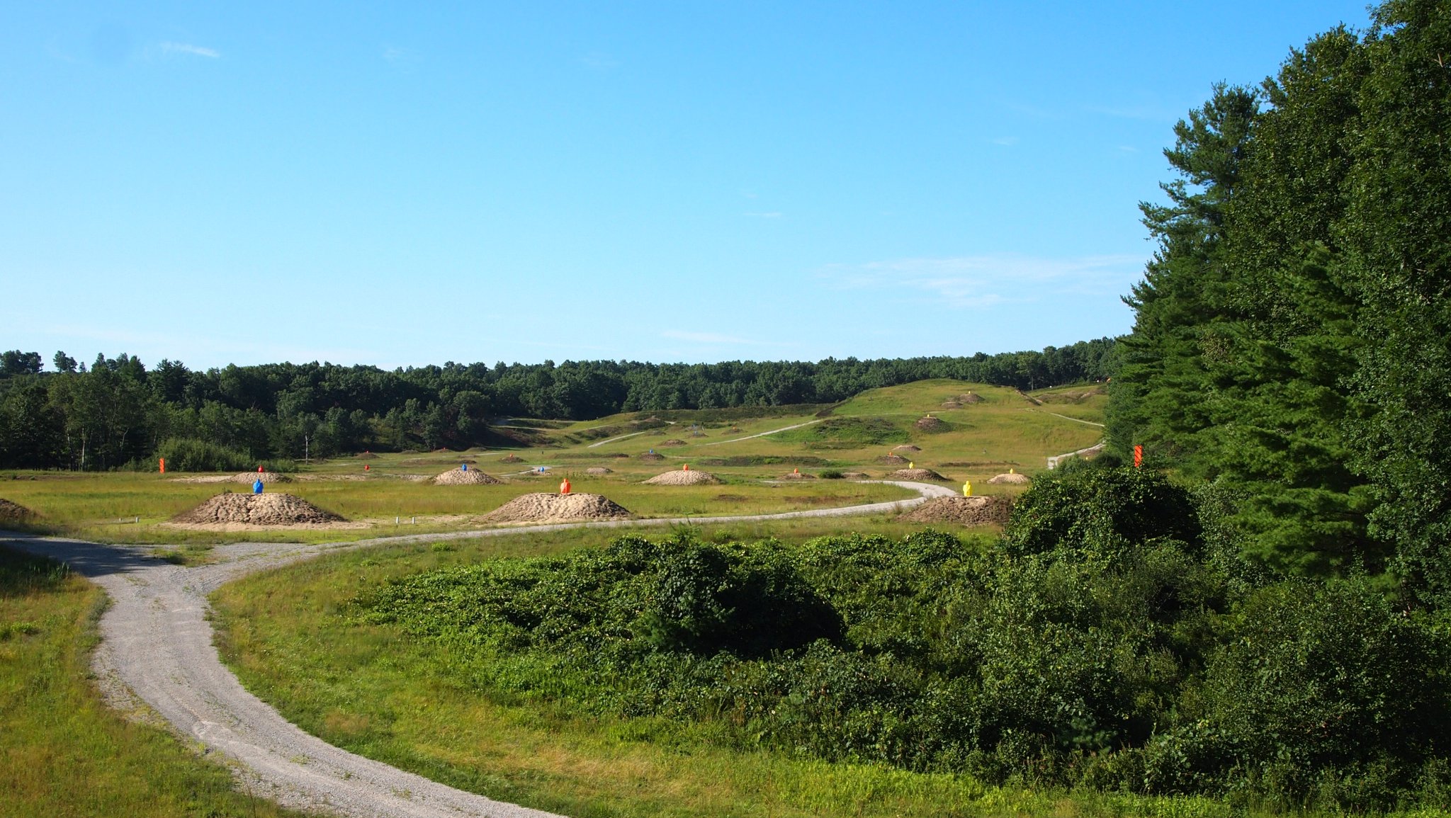 P8079533[2].JPG